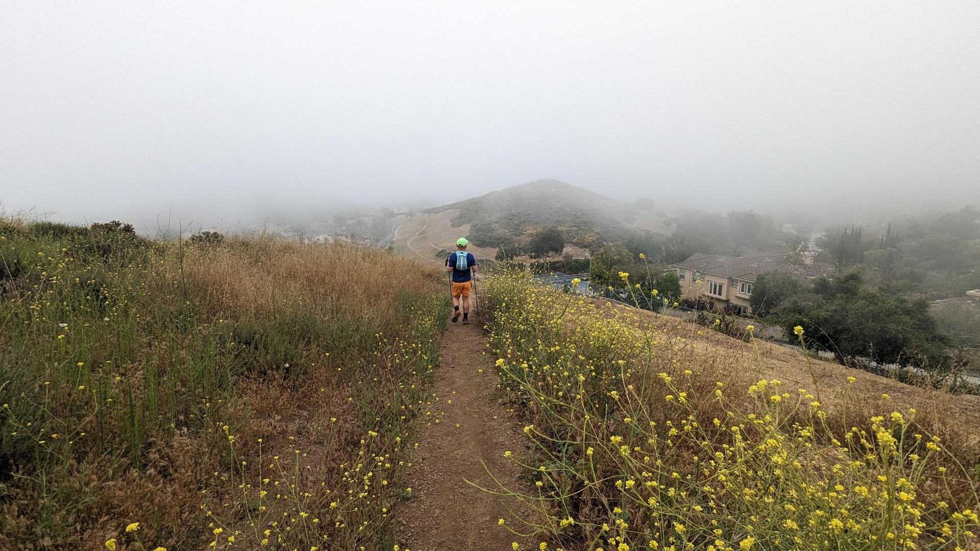 Person hiking on a foggy trail through grassy hills with wildflowers.