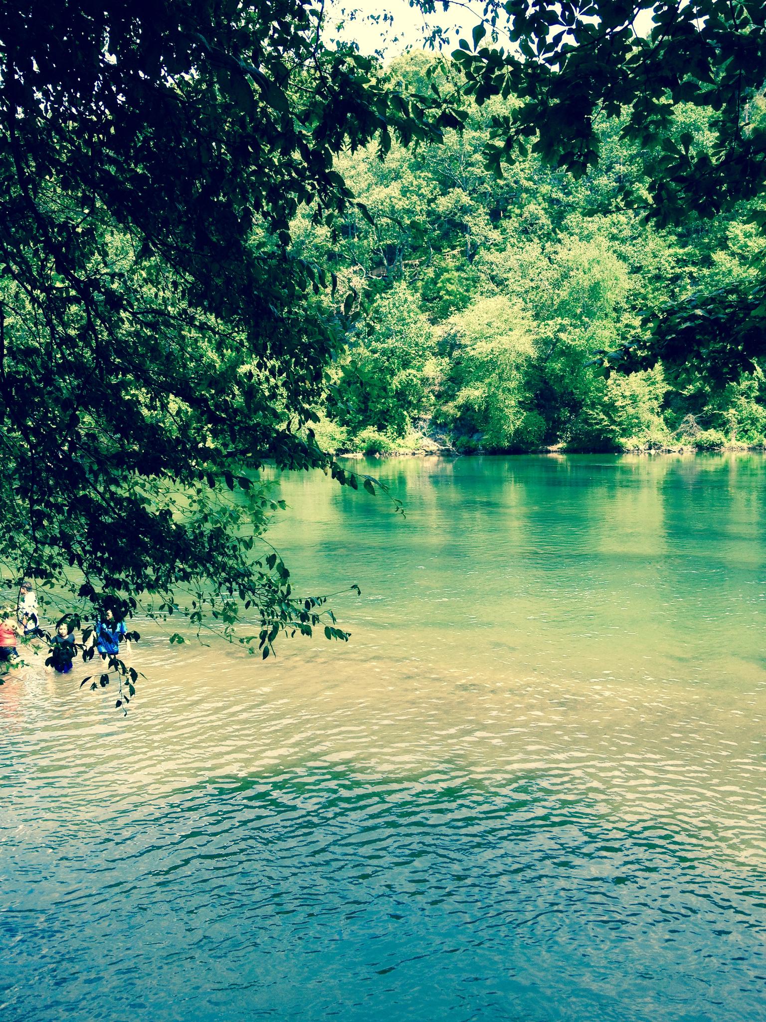 People wading in clear green river water, surrounded by lush trees.