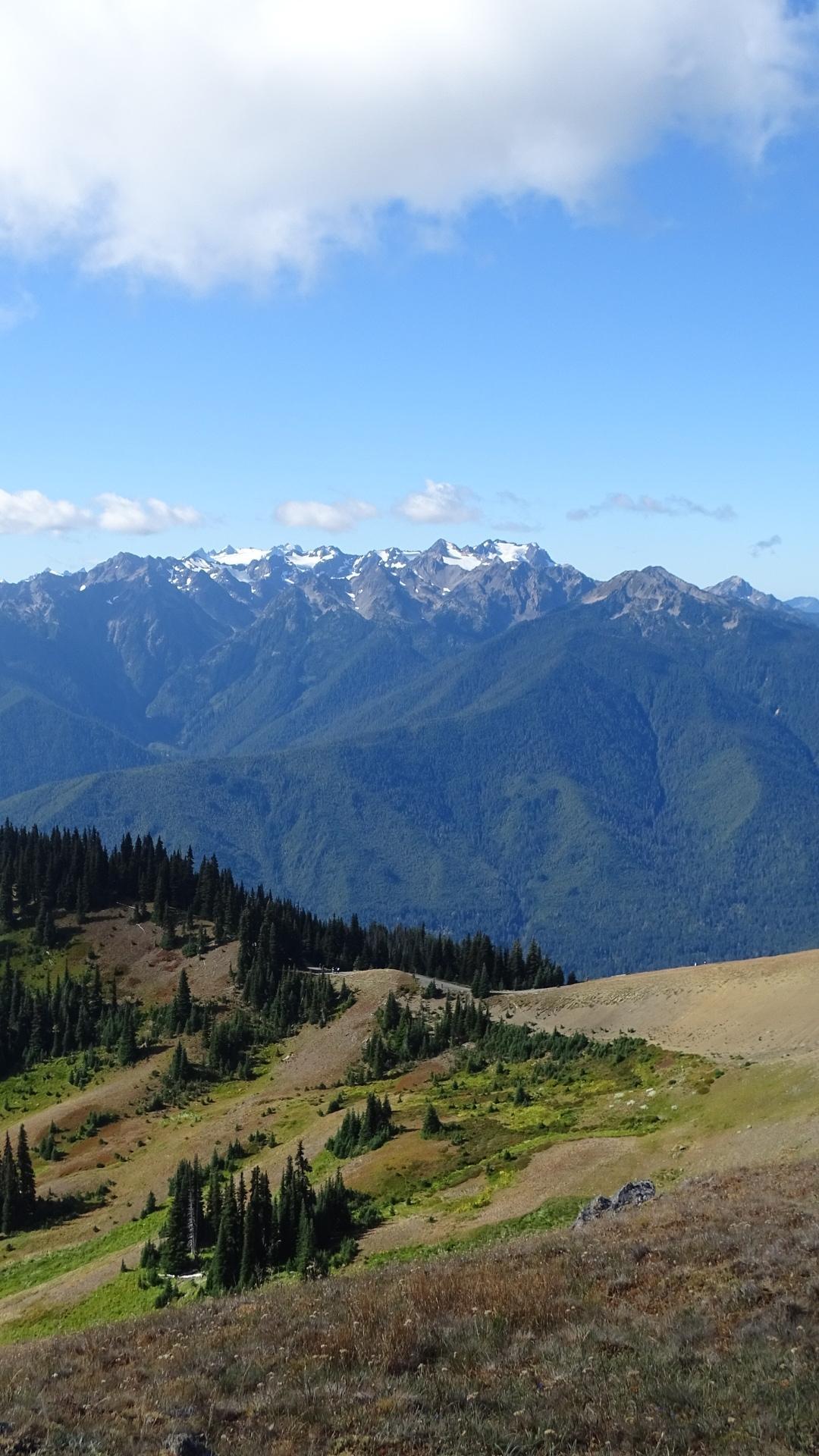 Distant snow-capped mountains overlook forested hills and grassy slopes on a clear day.