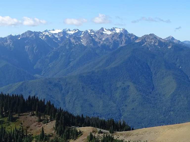Hurricane Ridge Road — Olympic National Park | road ride | Komoot