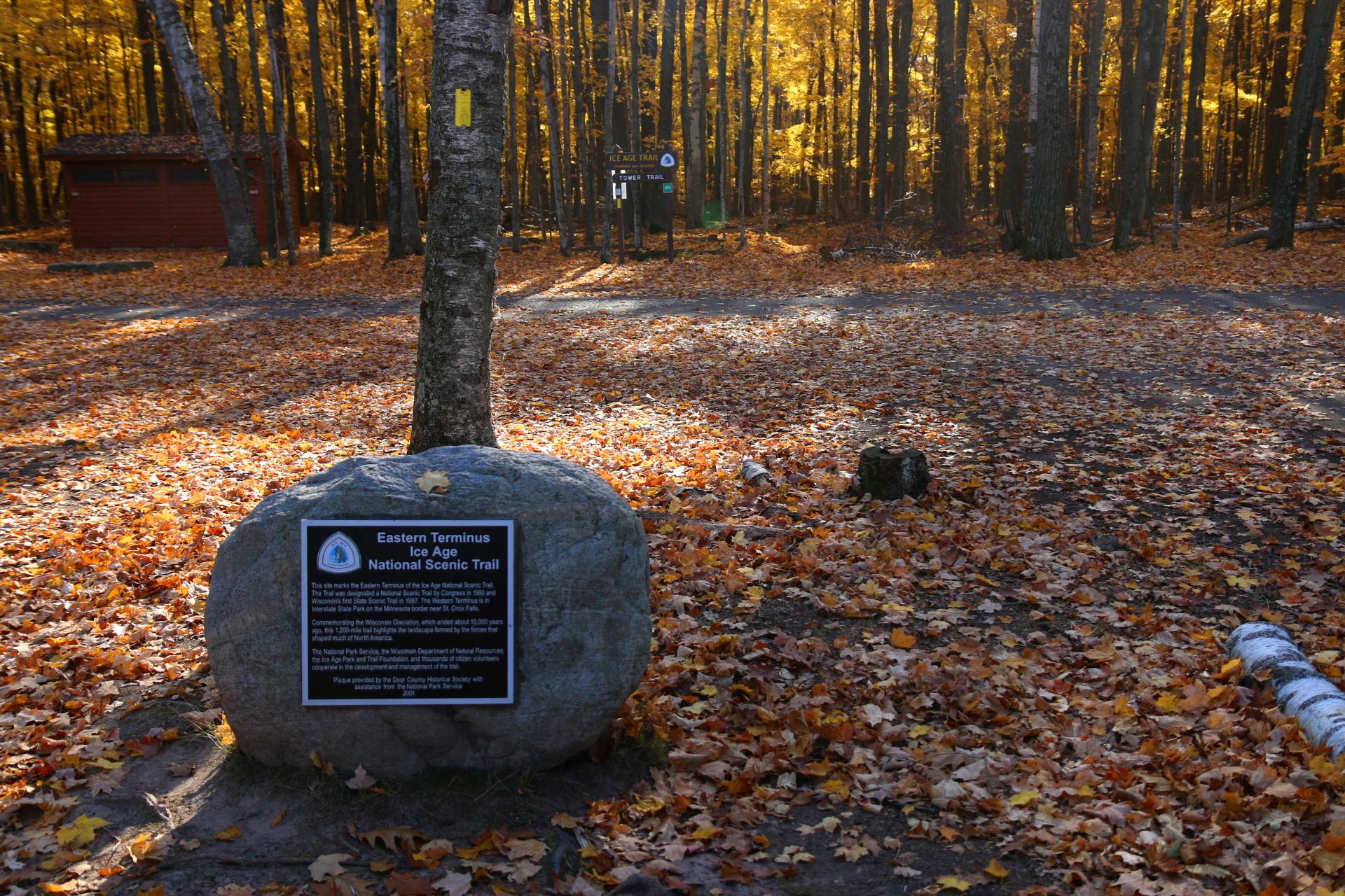 Autumn forest floor with a sign on a rock next to a tree.
