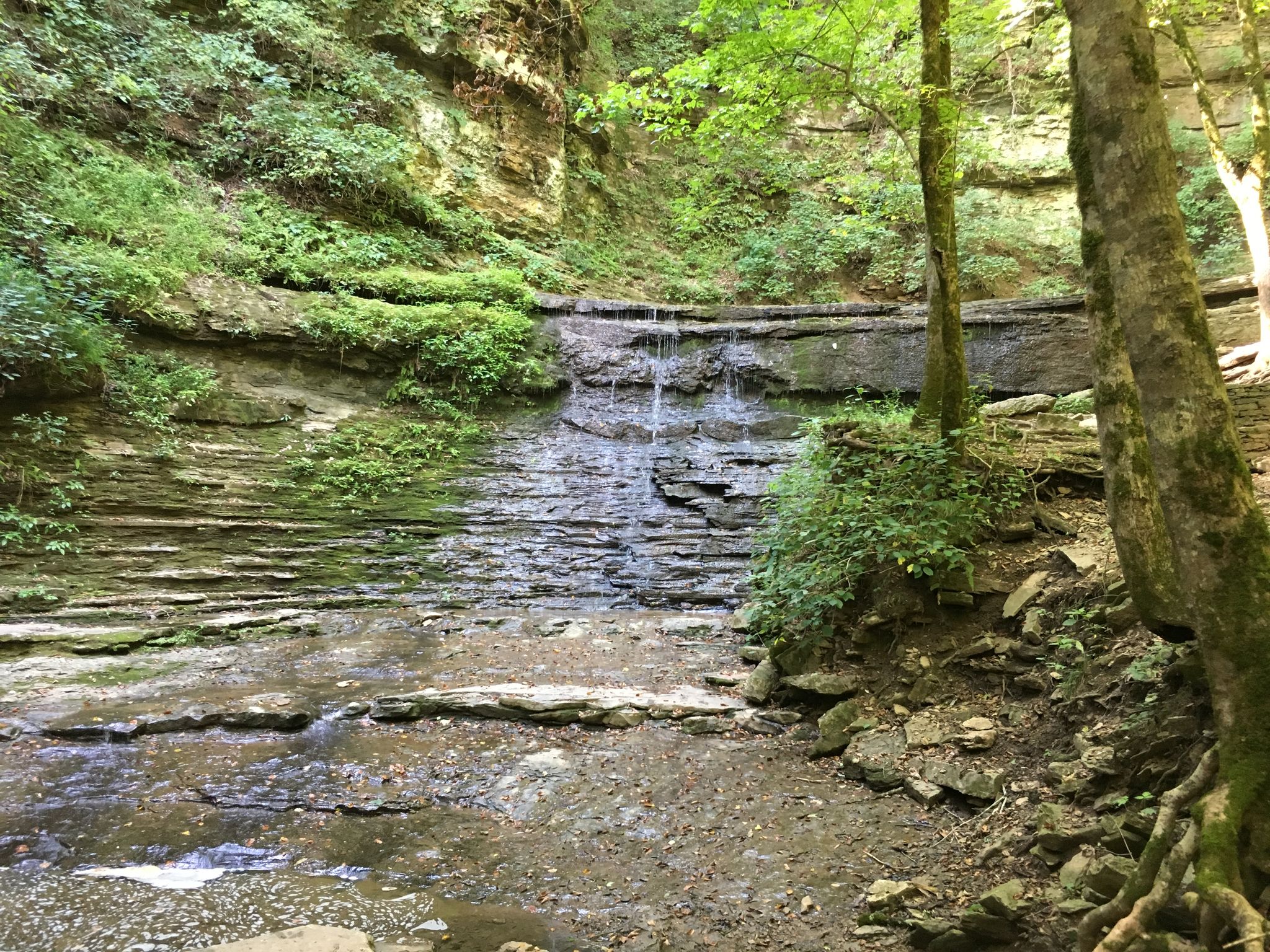 Small waterfall cascades over layered rocks in a lush, green gorge. - Natchez Trace: Garrison Creek to Jackson Falls