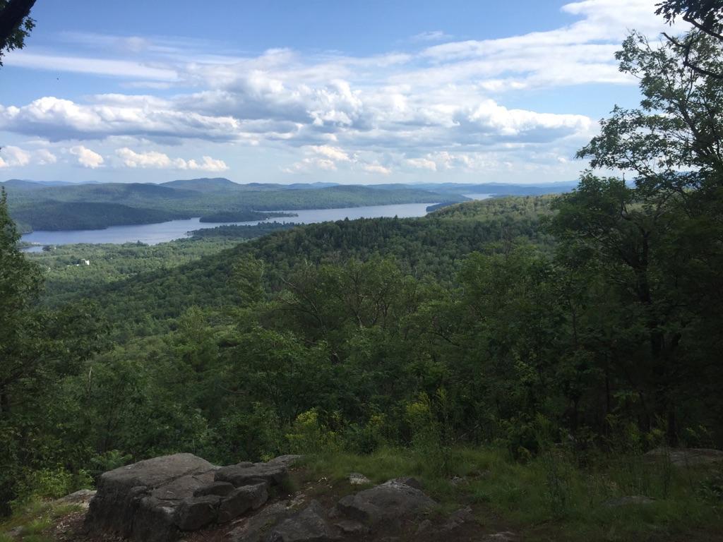 Sunny panoramic view of a large lake surrounded by vast green forests.