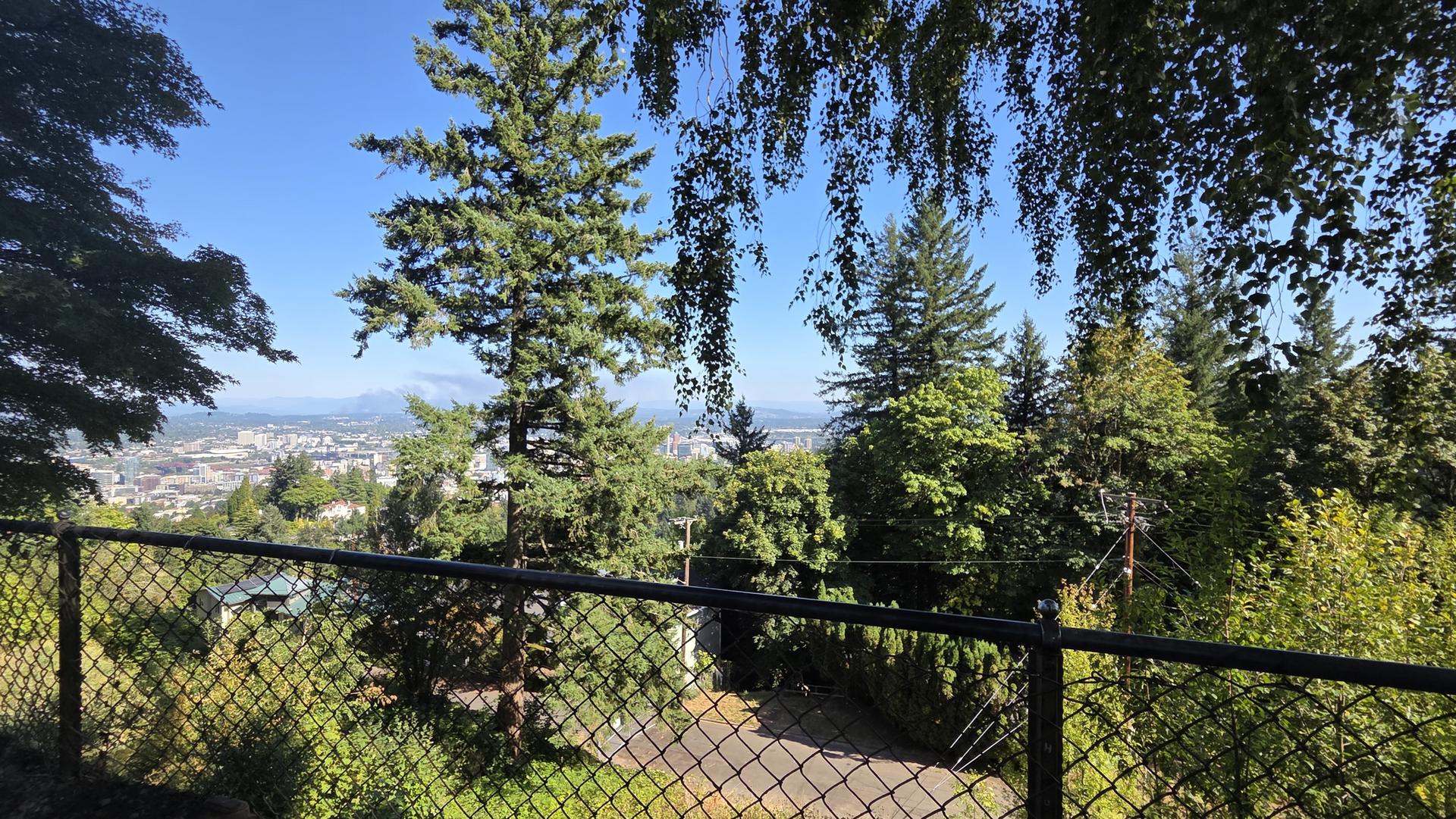 Distant city view through a chain-link fence and lush green trees.