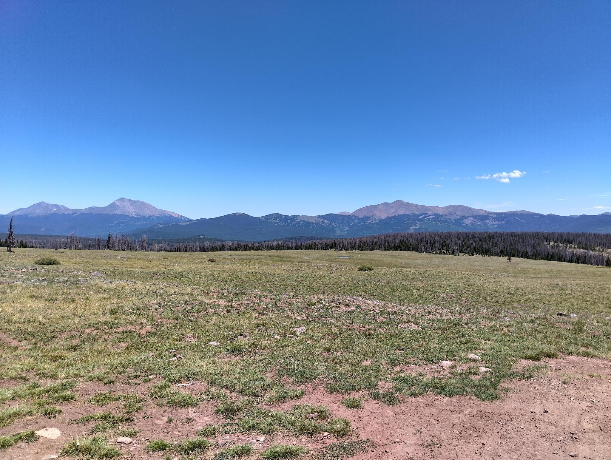 A vast, sunny, grassy field with distant mountains under a clear blue sky.
