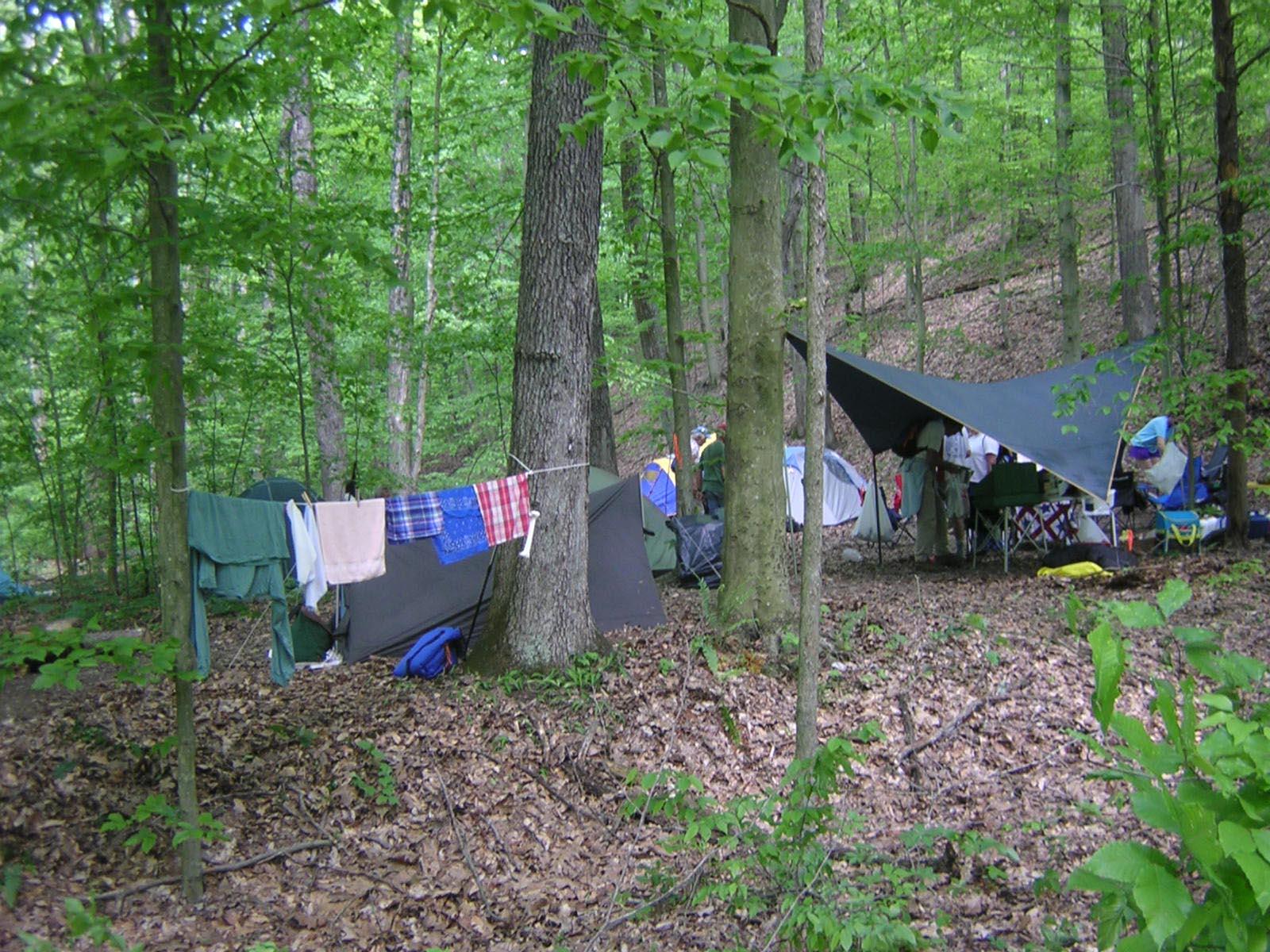 Overcast forest campsite with multiple tents, a tarp, and clothes drying on a line.