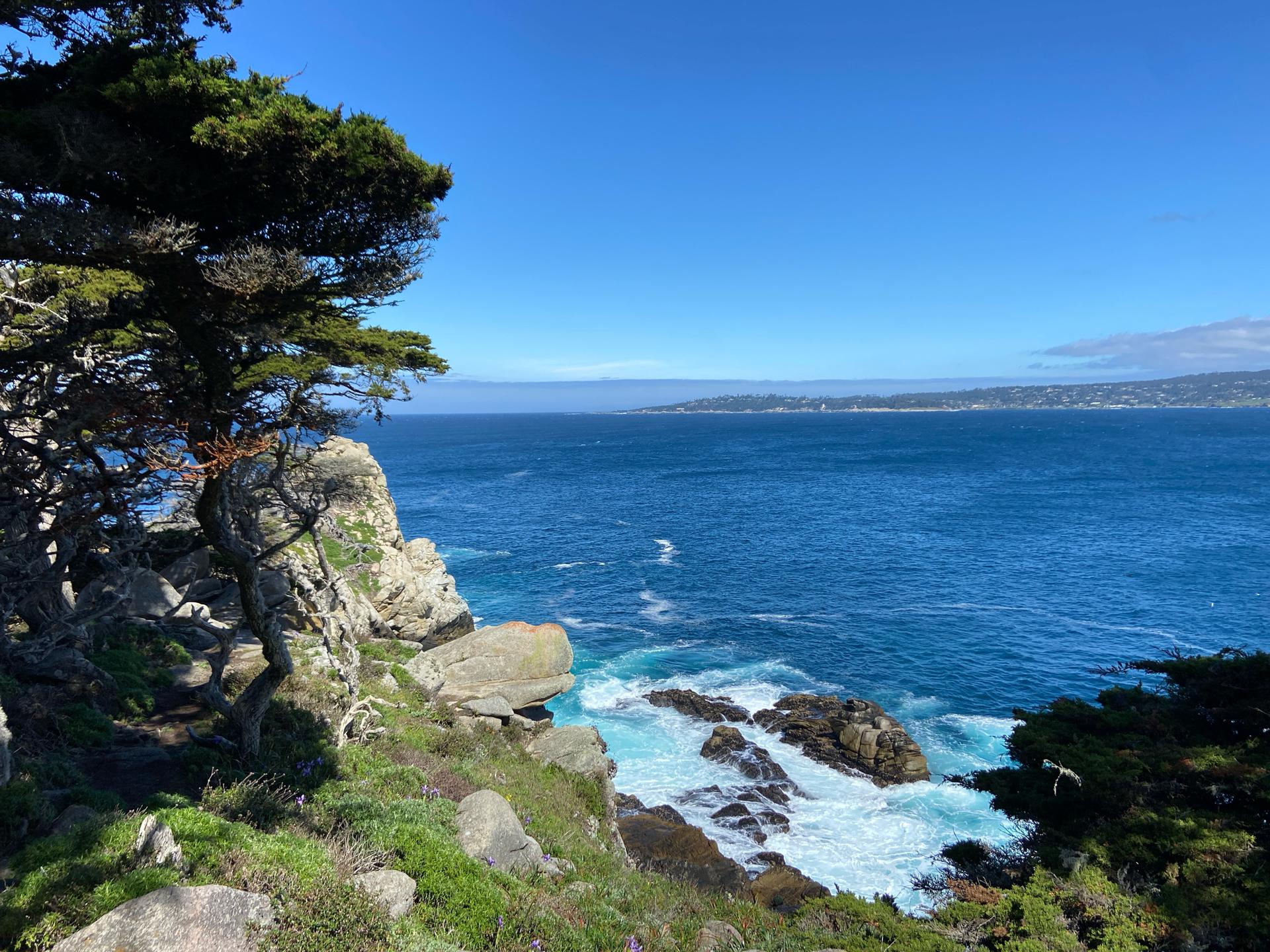 Bright blue sky over a rocky coastline with crashing waves and green foliage.