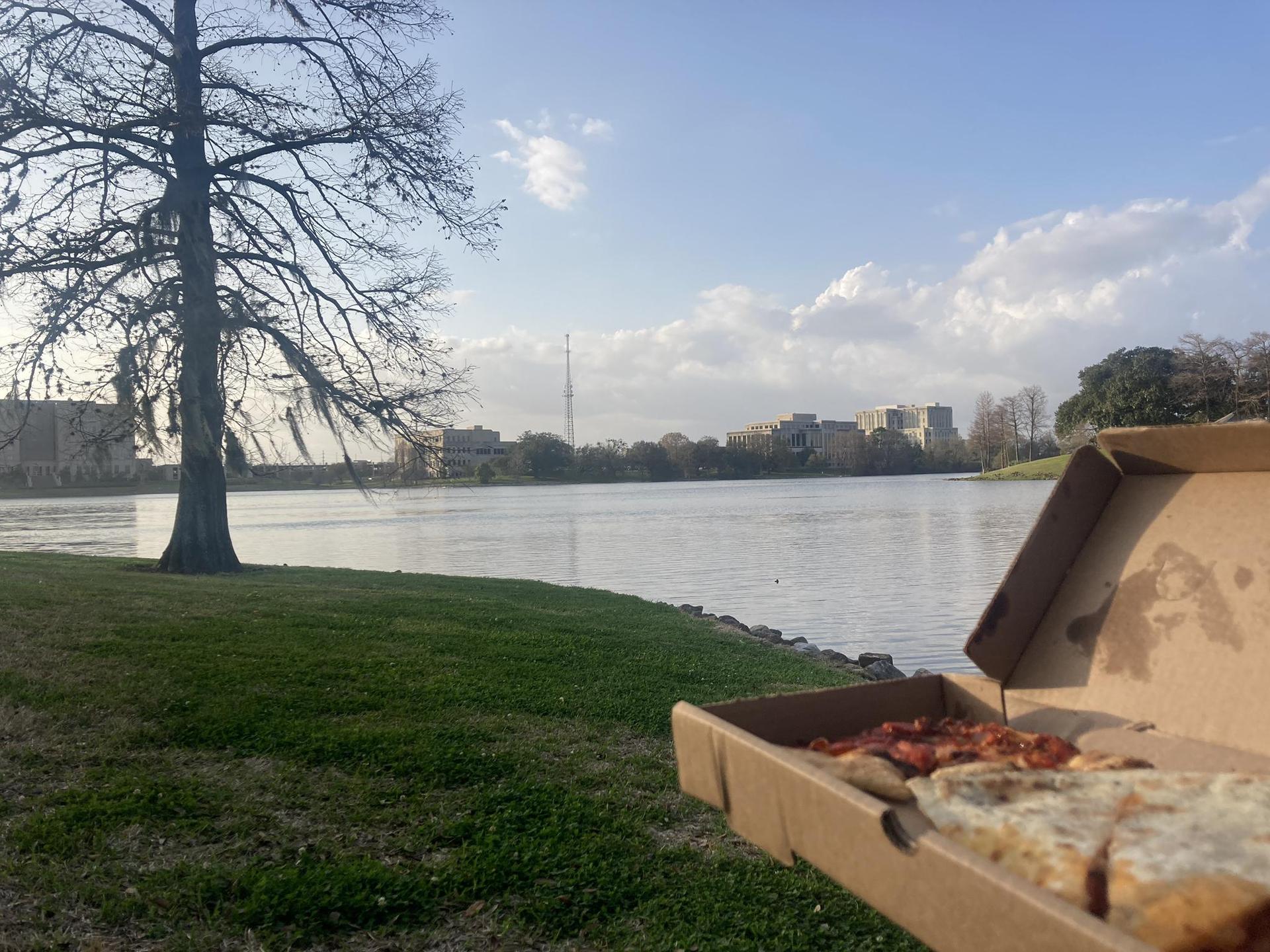 Open pizza box on grass by a calm lake with a bare tree.