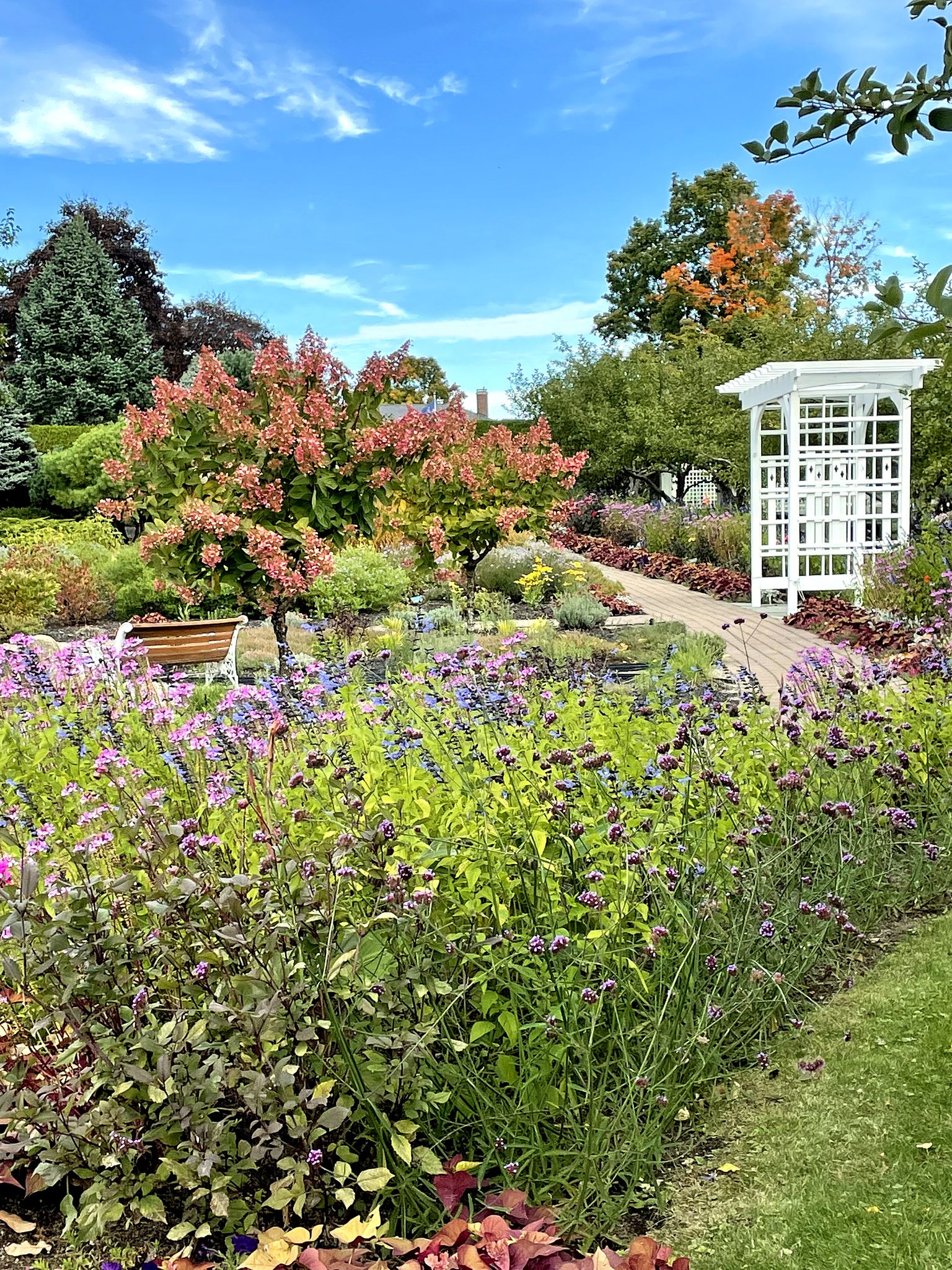 Bright garden path with colorful flowers, green trees, and a white arbor. - Pineland Farms Garden loop from Pineland Public Land