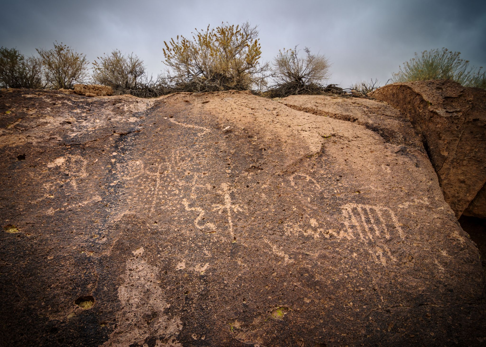 Ancient petroglyphs carved into a large, dark rock under an overcast sky. - Fish Slough Road loop