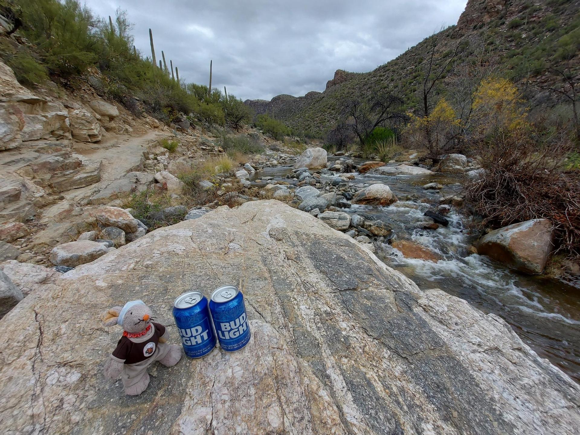 Stuffed animal and two beverage cans rest on a large rock by a flowing stream.
