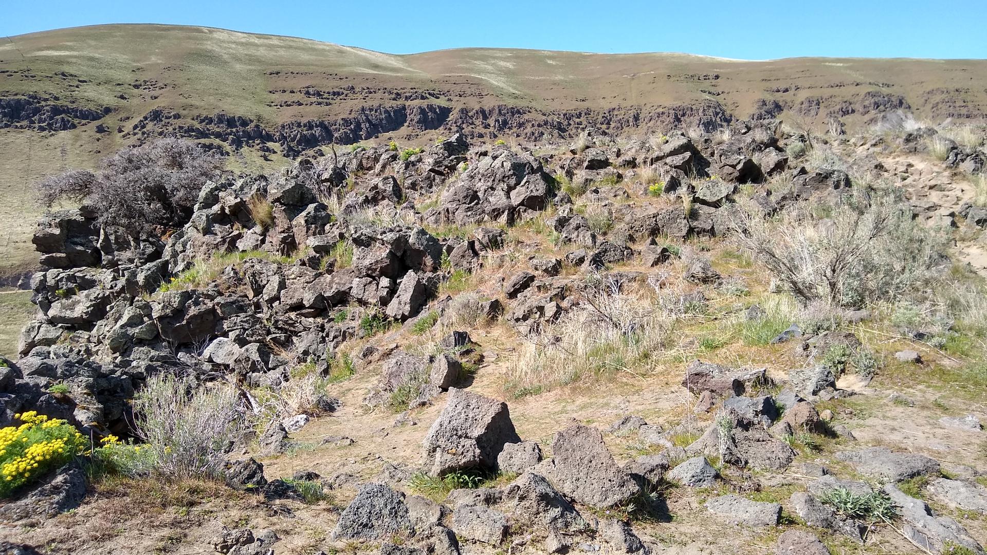 A sunny, rocky landscape with sparse vegetation and distant flat-topped hills.