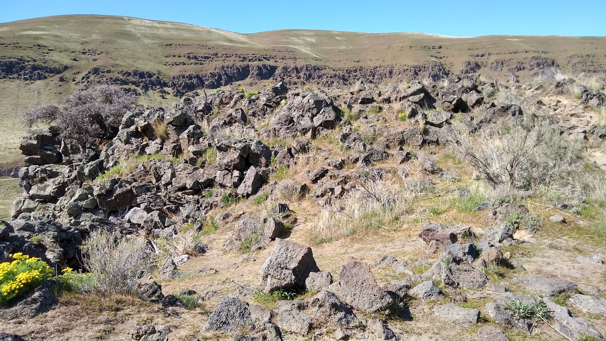 A sunny, rocky landscape with sparse vegetation and distant flat-topped hills. - Ferry Springs Trail junction loop from Colorado Camp
