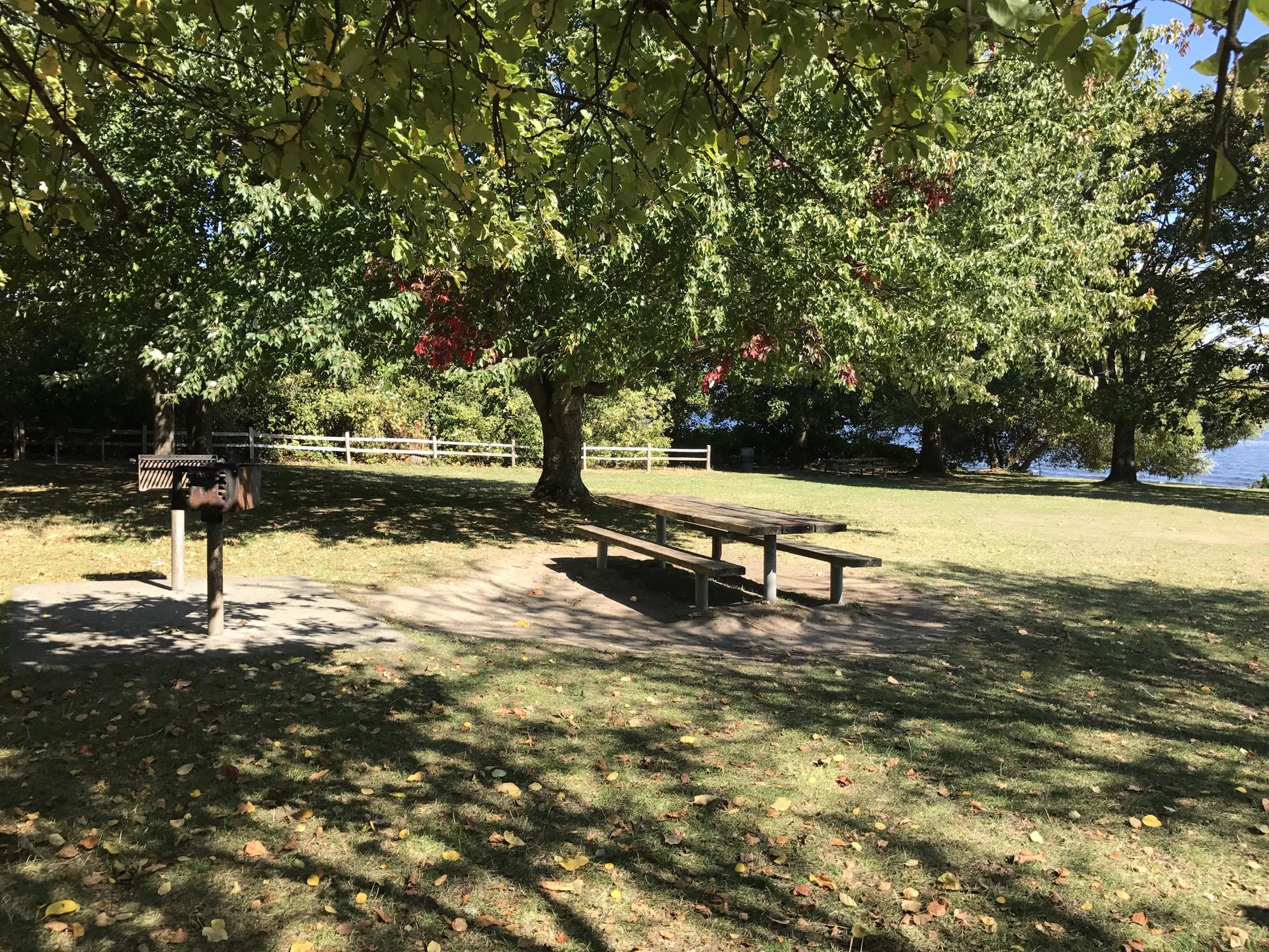 Shady picnic area with a table and grill under large trees by a lake.