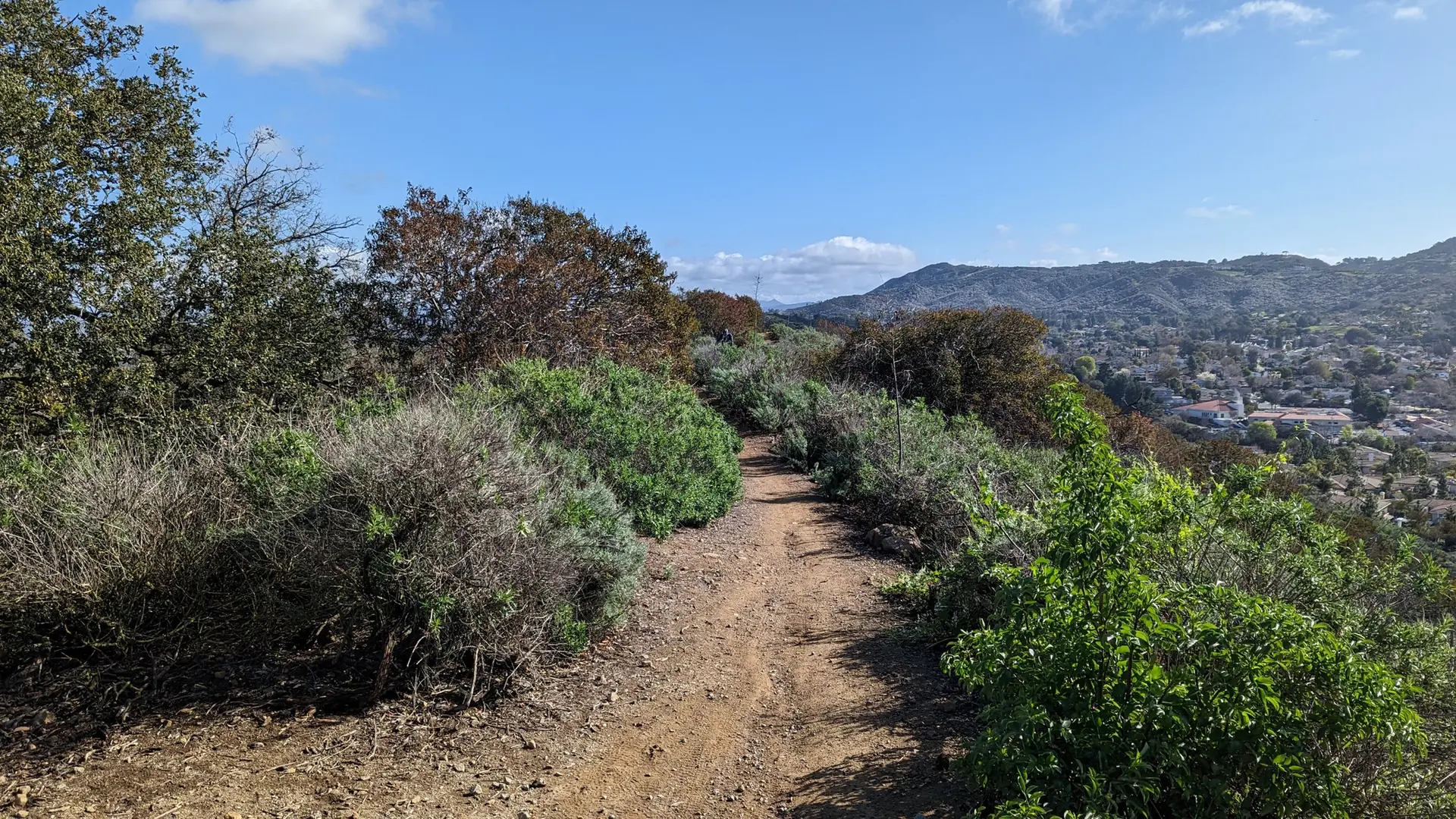 A dirt path winds through green and brown bushes under a clear sky.
