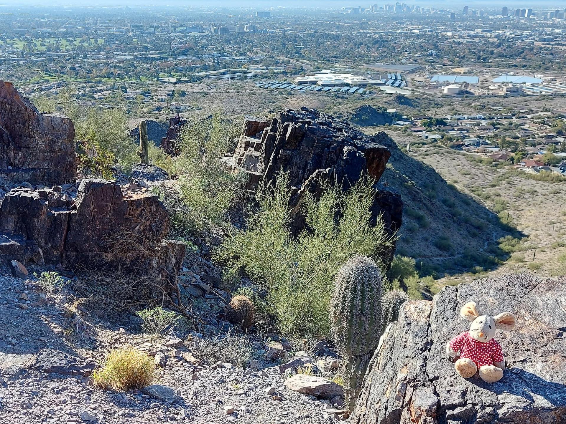 Stuffed bunny on a rocky desert hill overlooking a distant city under bright sun.