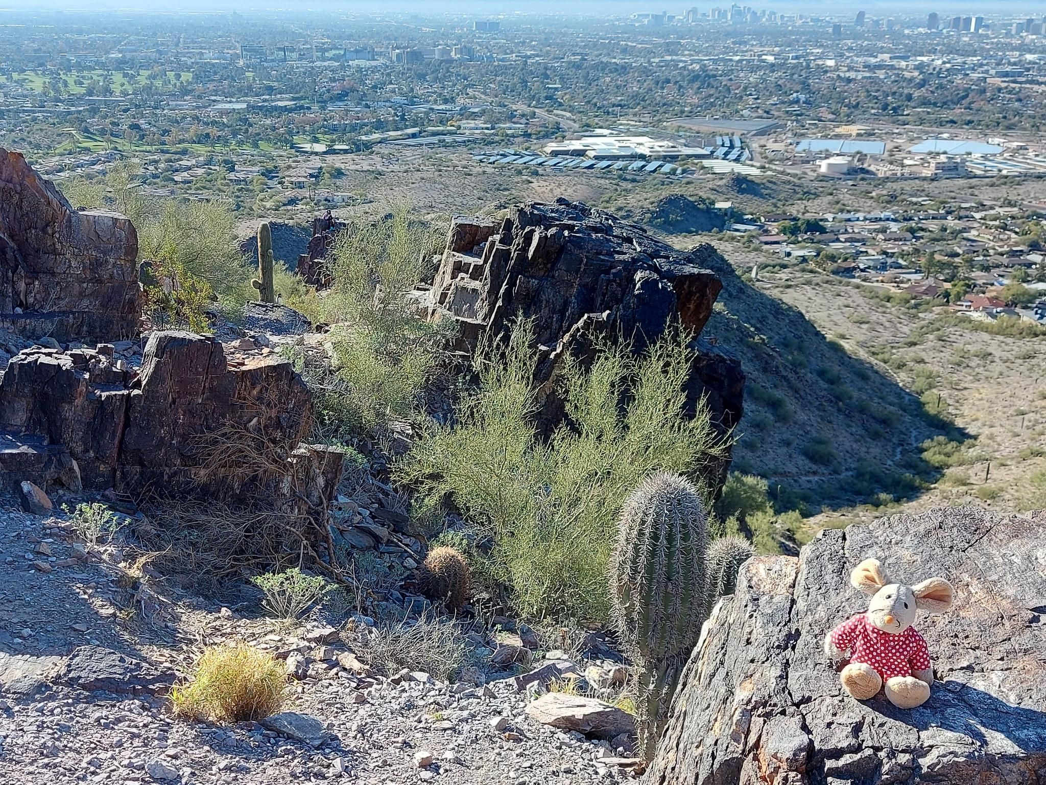 Stuffed bunny on a rocky desert hill overlooking a distant city under bright sun. - Freedom Trail 302