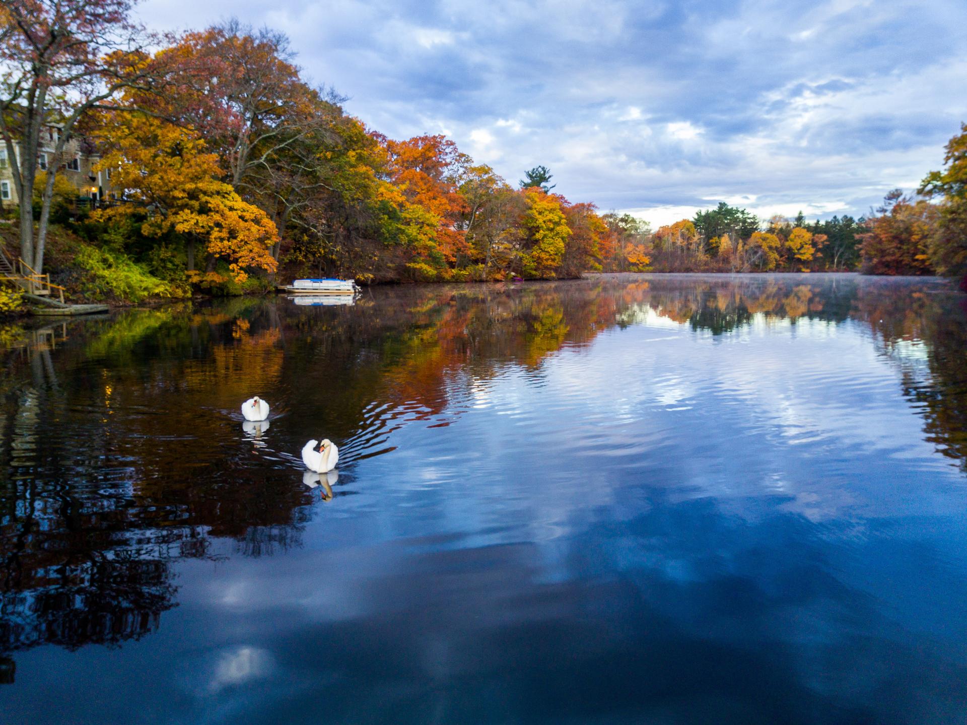 Calm lake reflecting cloudy sky and vibrant autumn trees with two white buoys.