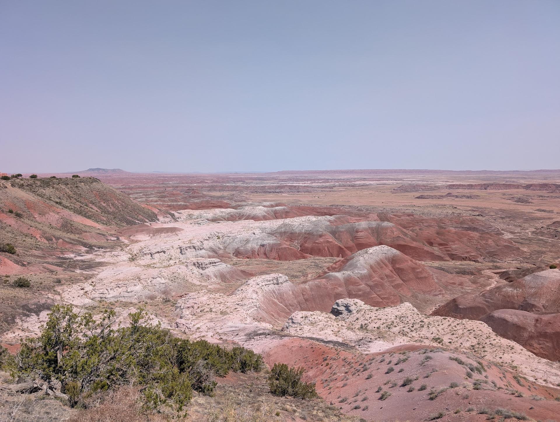 Expansive desert landscape with light-colored badlands and red hills under a clear sky.