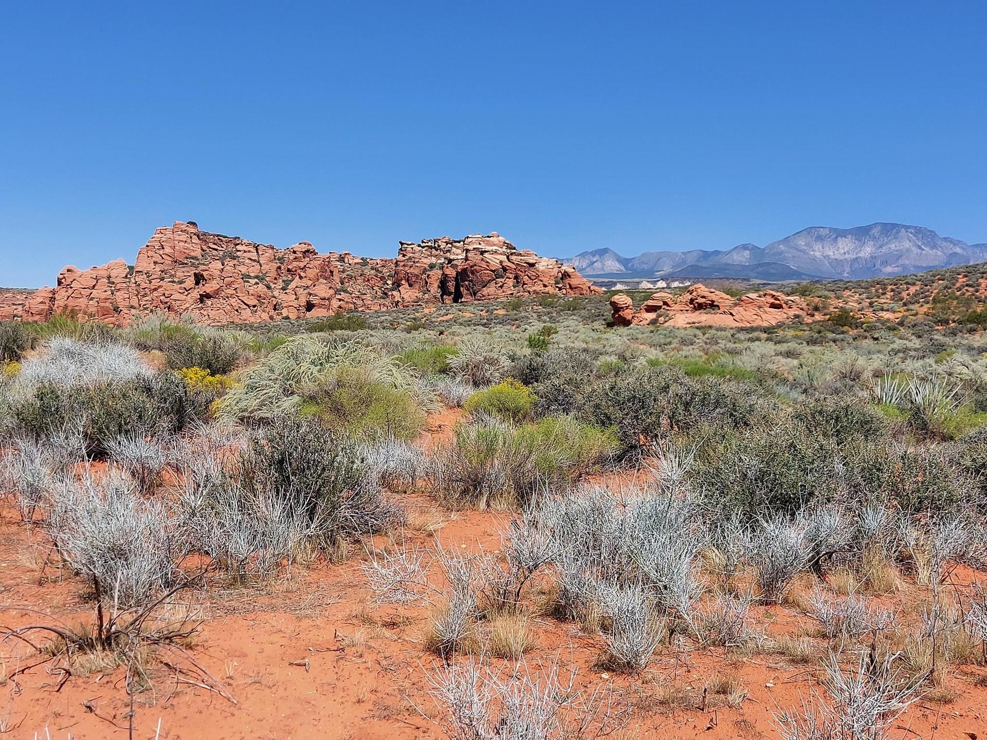 Bright desert landscape with red rock formations, sparse shrubs, and distant mountains.
