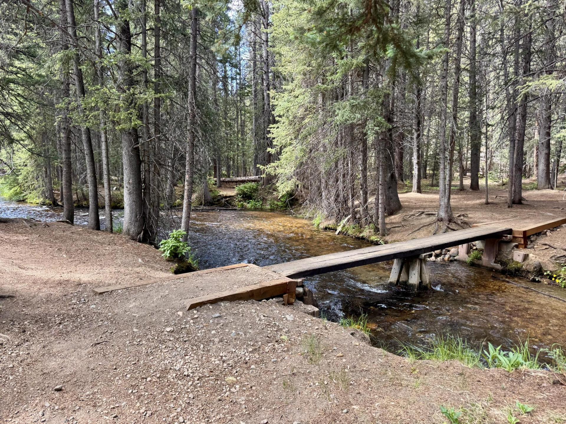 Wooden footbridge crosses a clear stream in a sun-dappled pine forest.