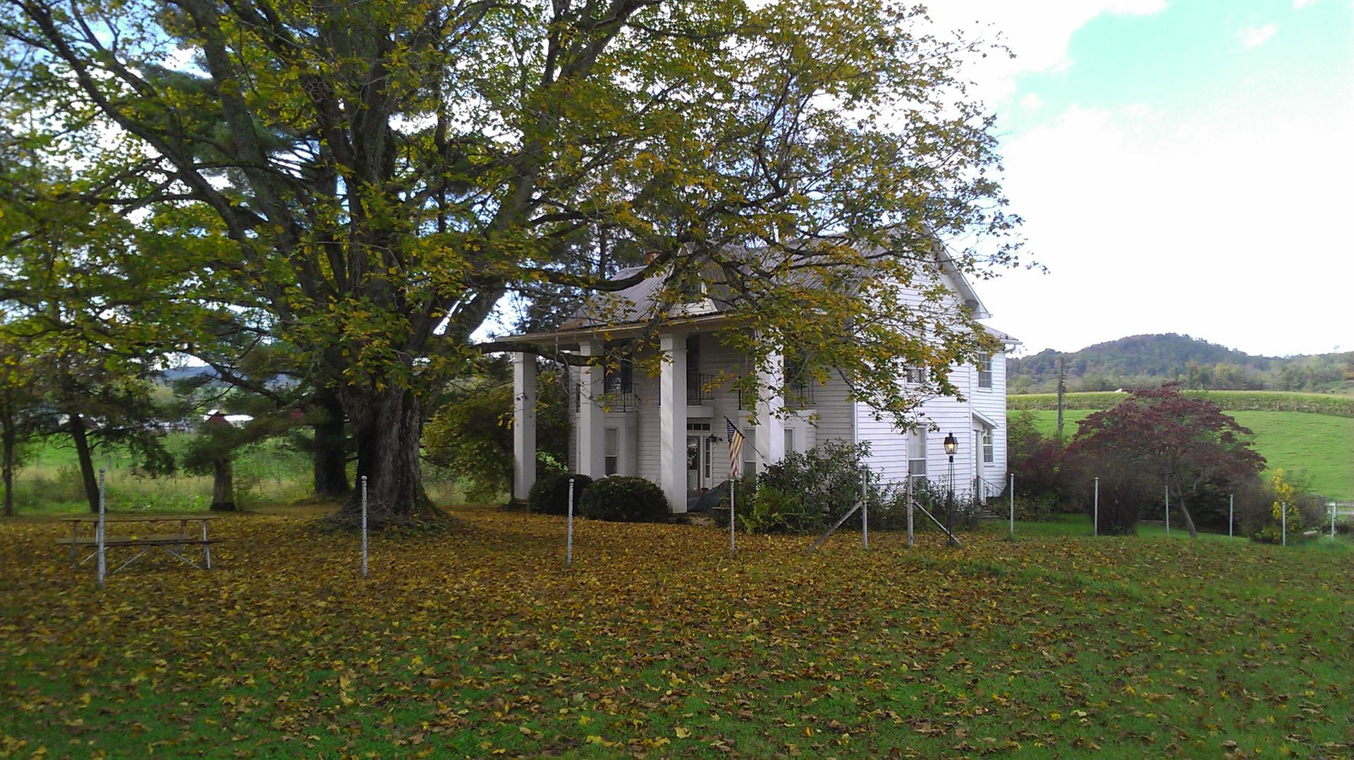 Large white house with columns under a huge tree on a leafy lawn.