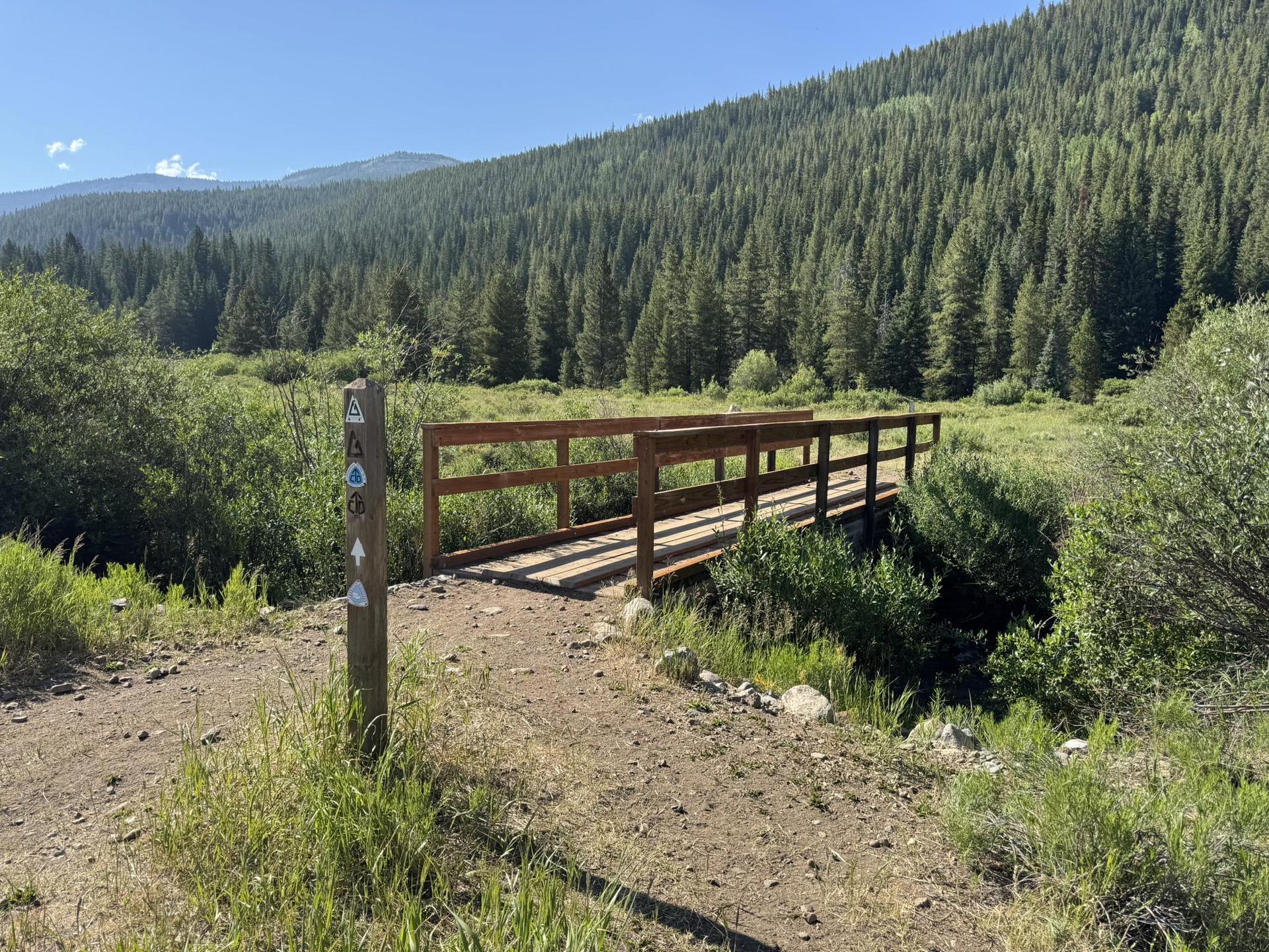 A wooden bridge crosses a stream, surrounded by dense green forest.