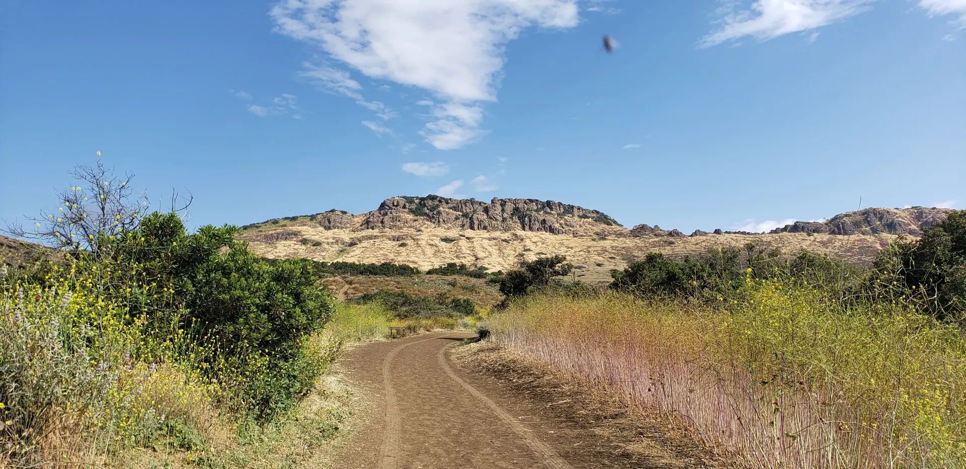 A dirt path winds through dry grassy hills under a bright blue sky.