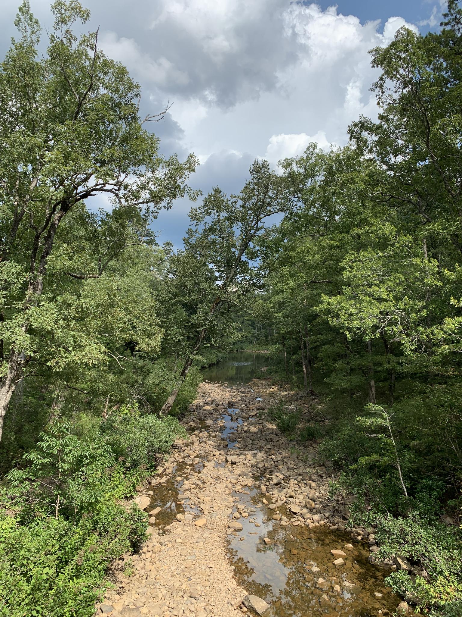 A rocky, shallow stream bed winds through a dense green forest.