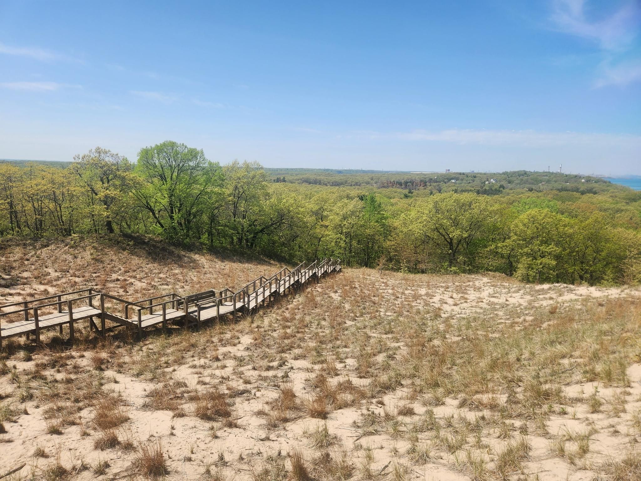 Long wooden boardwalk winding through sandy dunes and green trees. - Mount Tom Viewpoint – Mount Holden loop from Dune Park