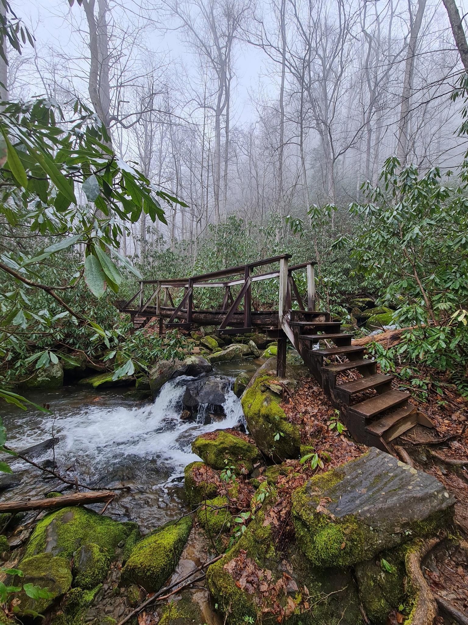 Wooden bridge and stairs over a rocky stream in a misty, green forest.
