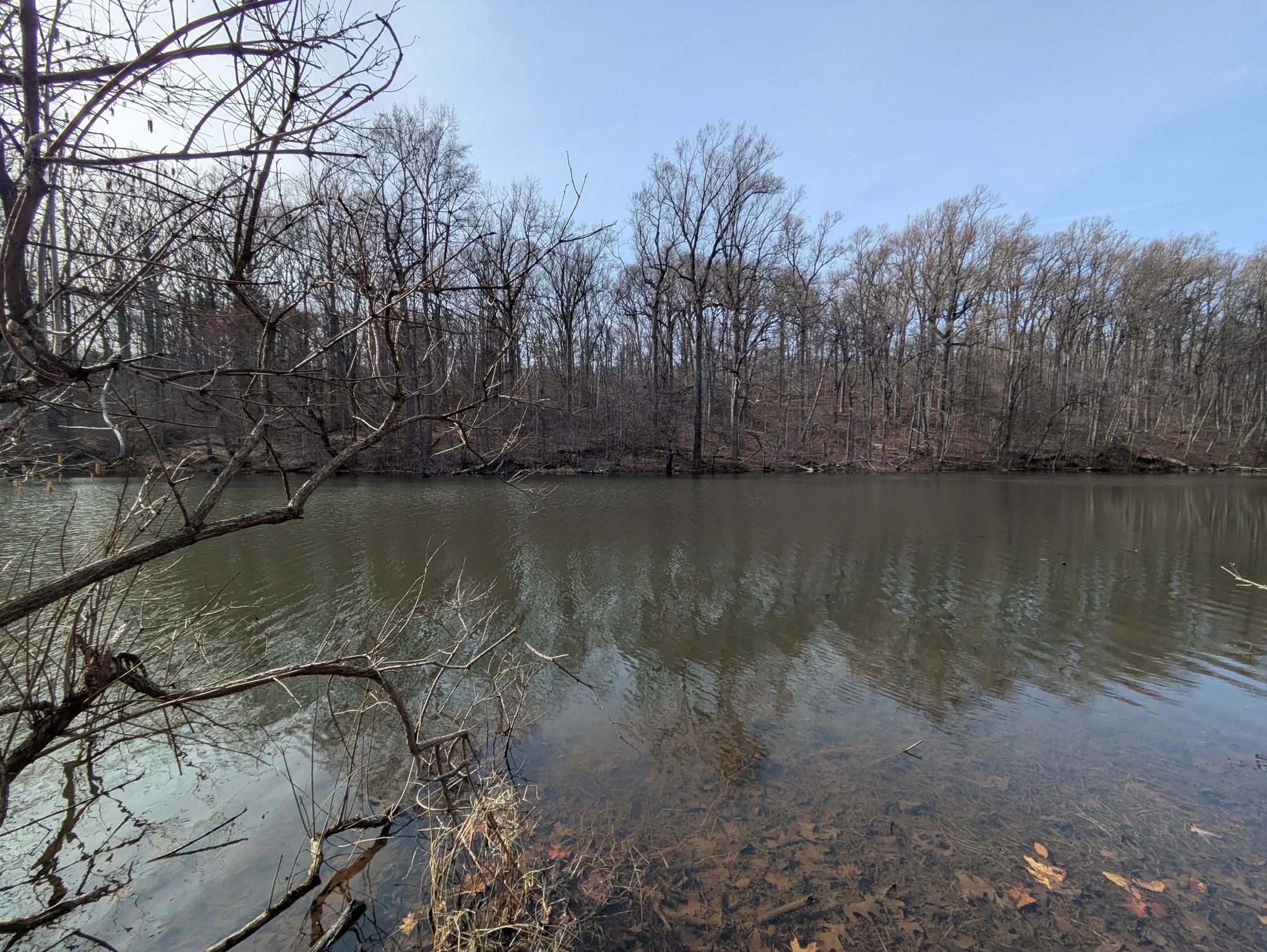 A calm lake reflects bare winter trees under a clear sky.
