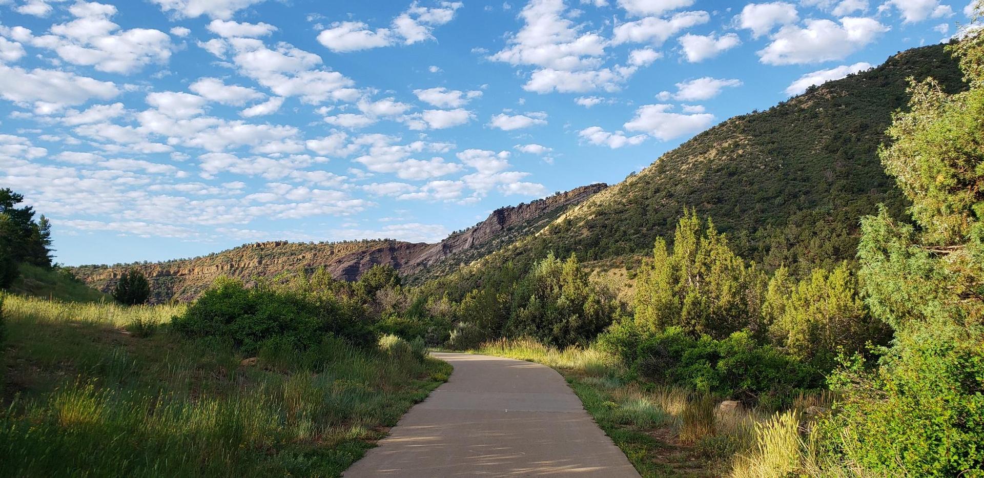 A paved path winds through sunlit green hills and trees.