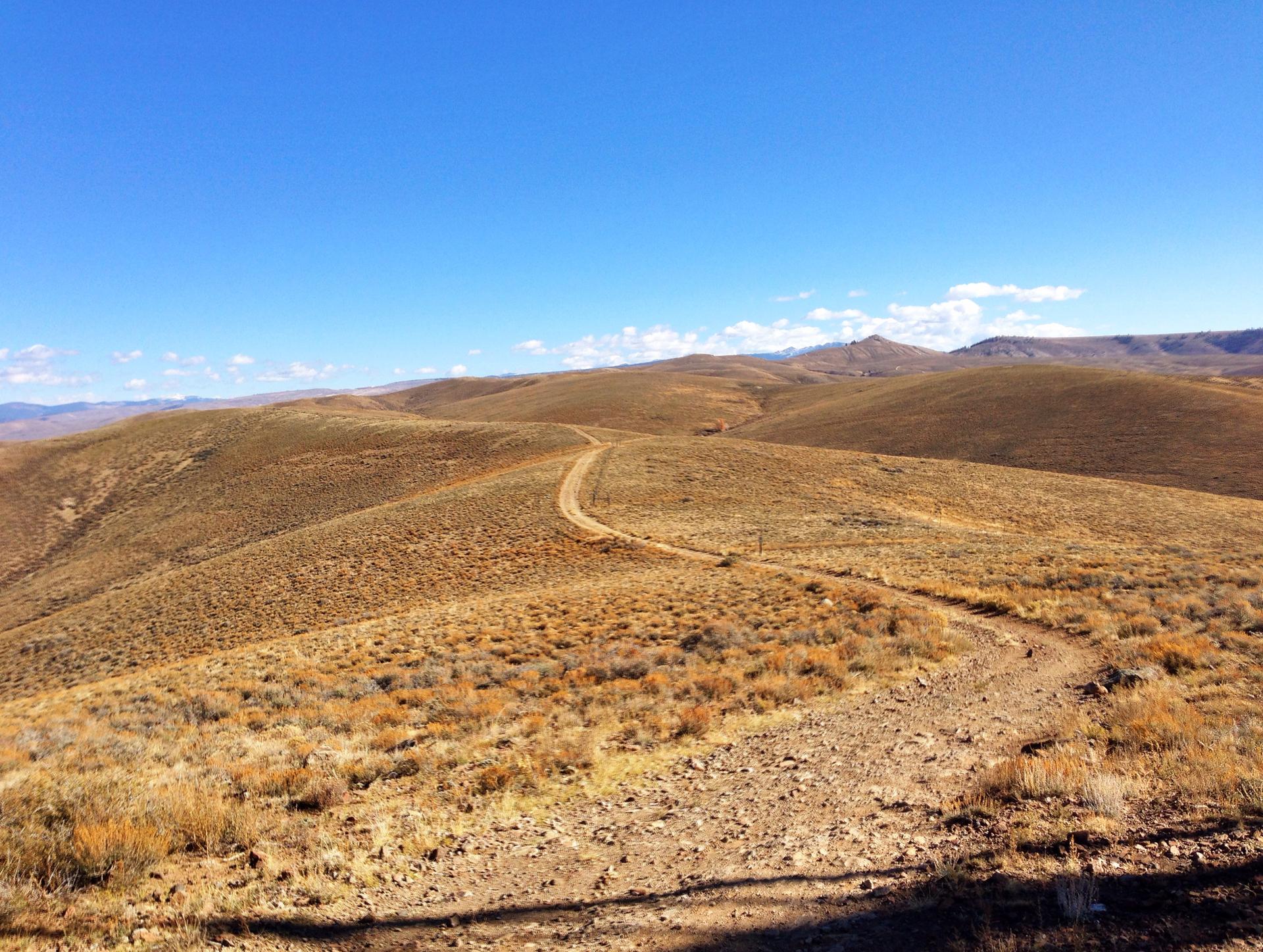 Sunny, winding dirt path through dry, golden rolling hills.