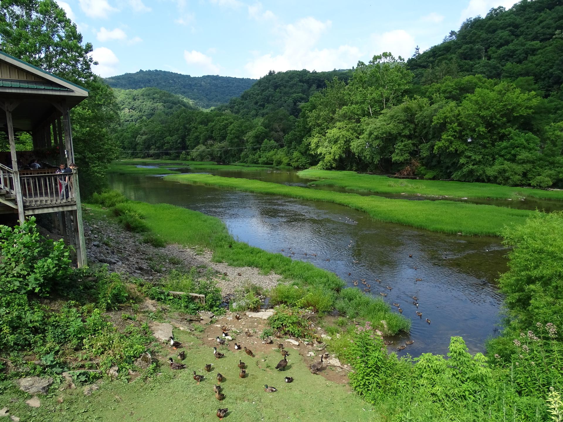 A river with ducks on its bank, next to a wooden building and green hills.