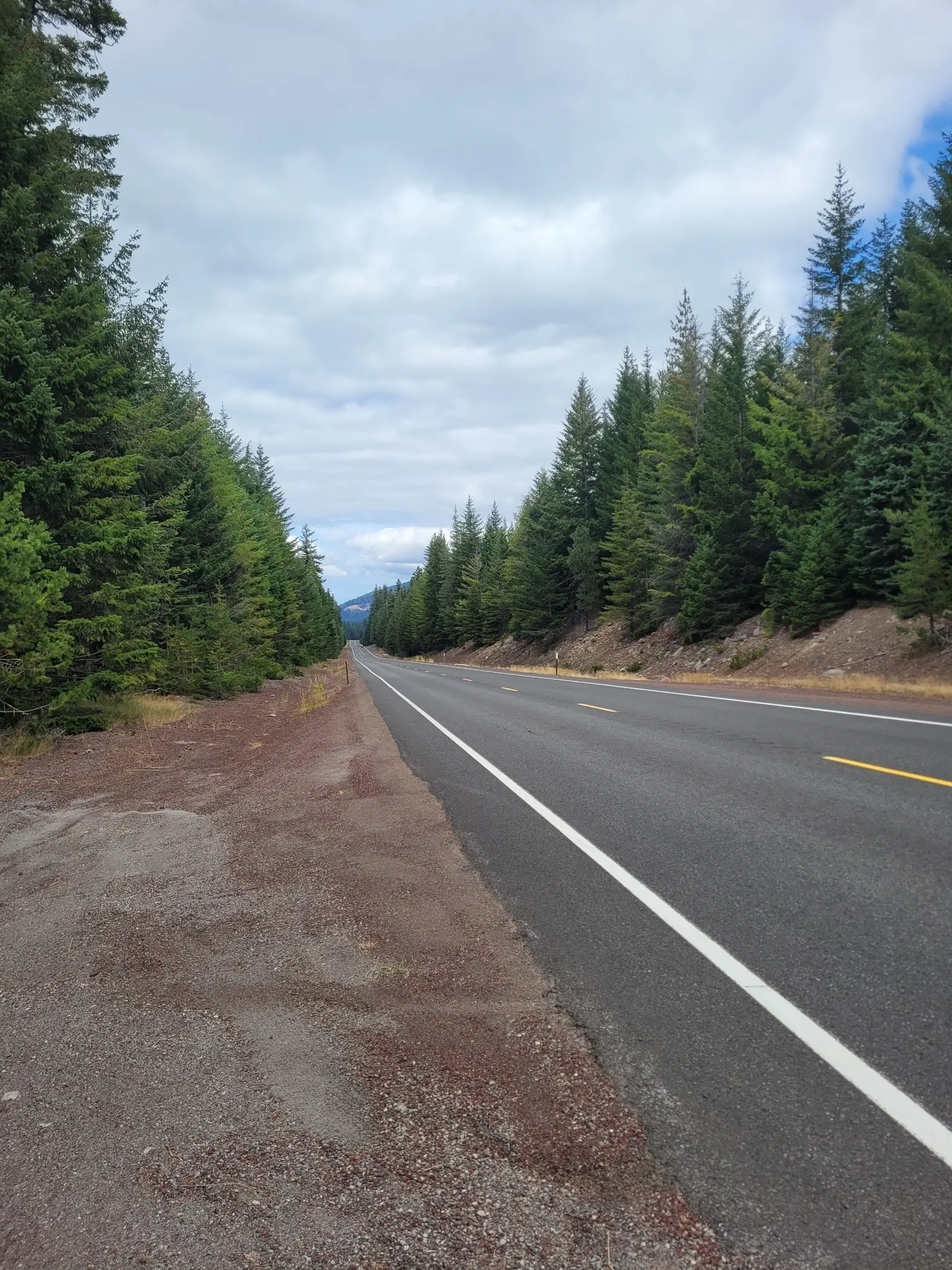 Long road through dense evergreen forest under an overcast sky.