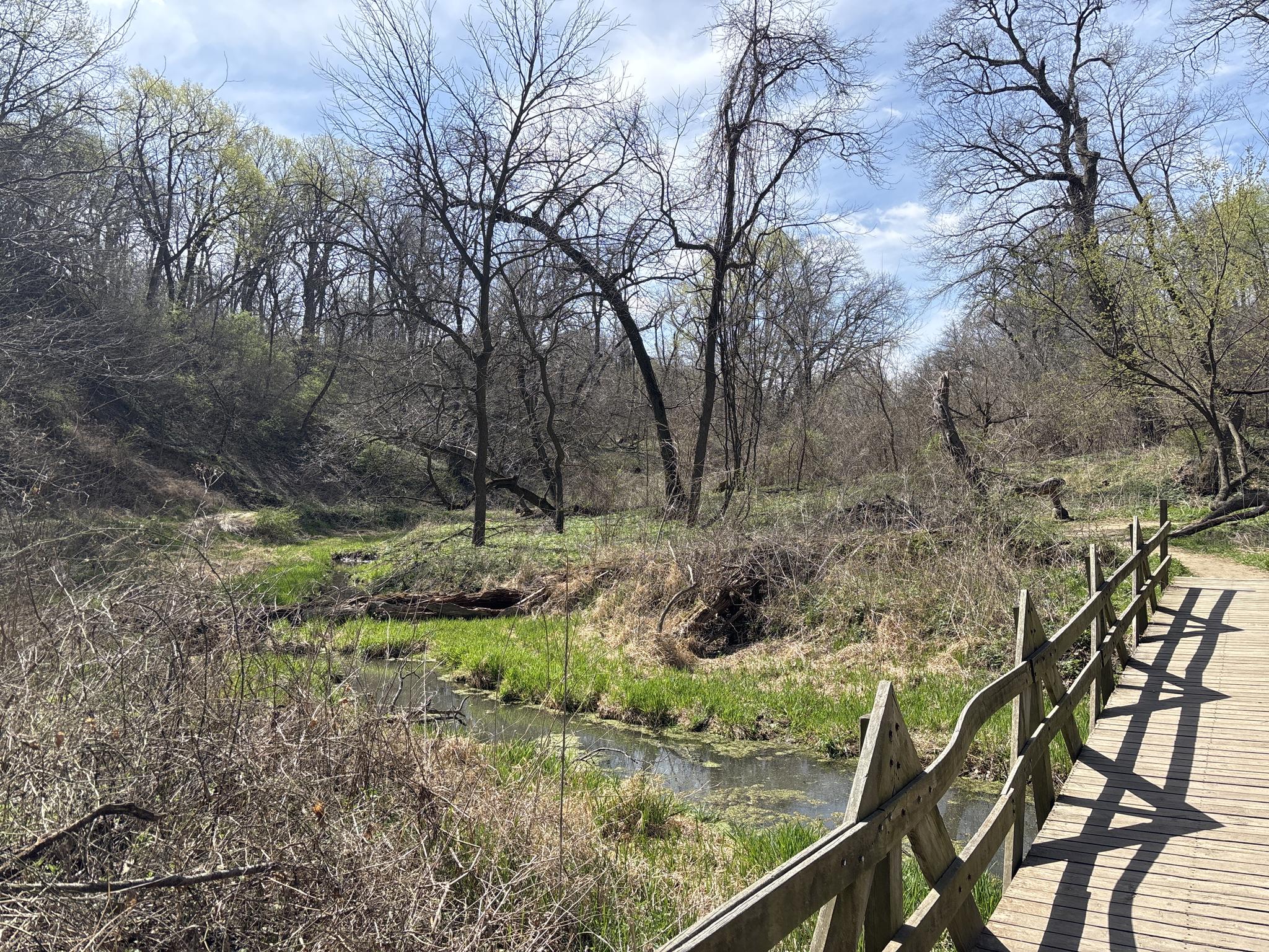 Wooden boardwalk alongside a stream in a sunlit, wooded landscape.