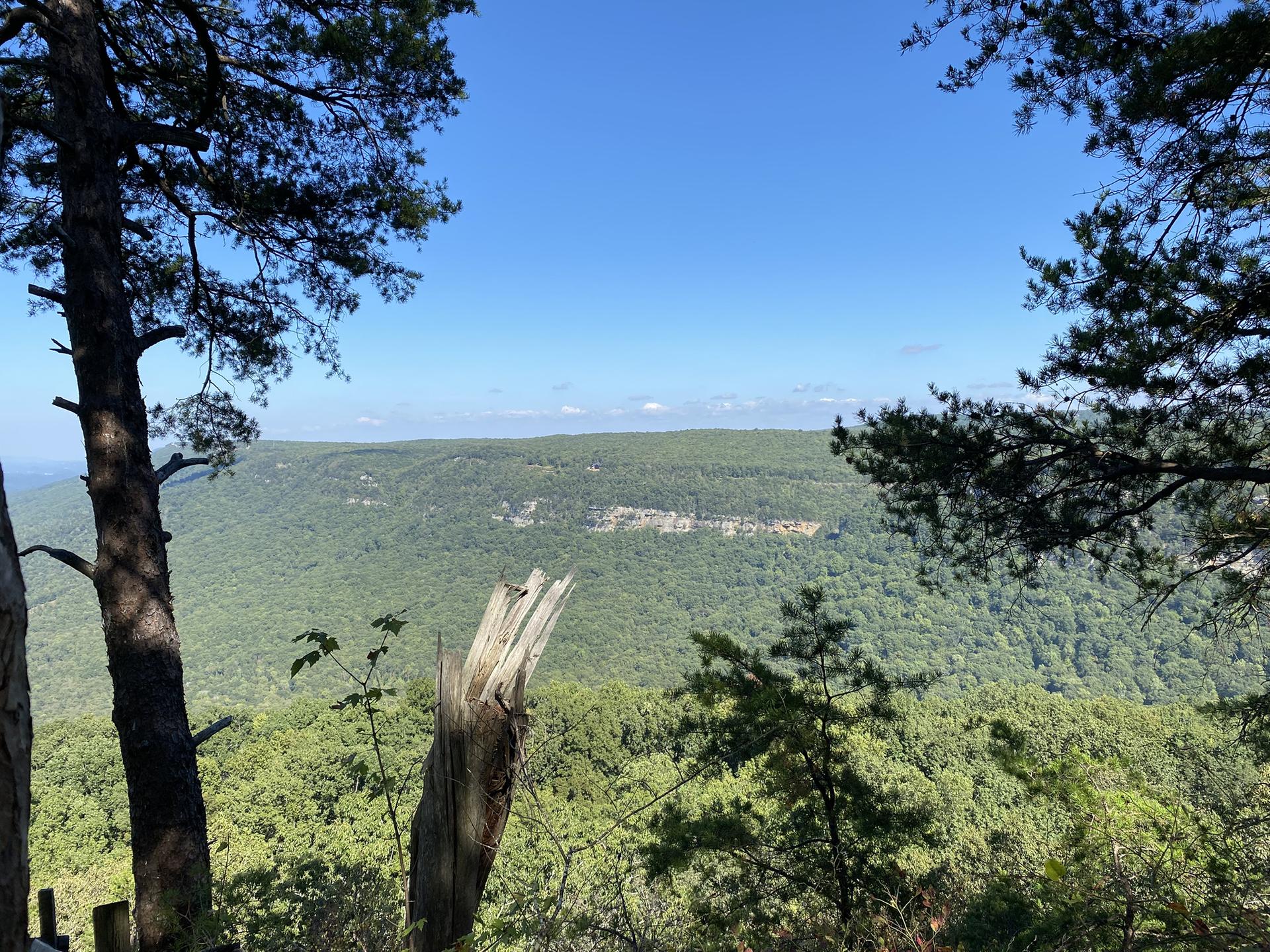 Forested mountain landscape seen through pine trees on a clear day.