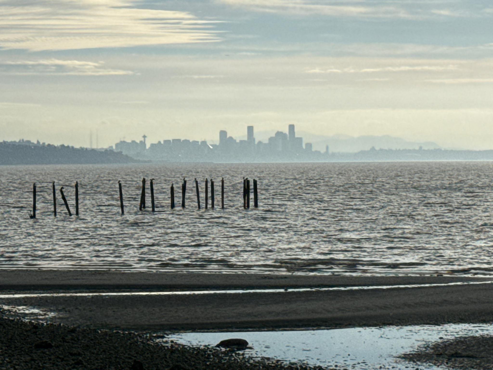 Hazy distant city skyline across water with old pilings and shoreline.
