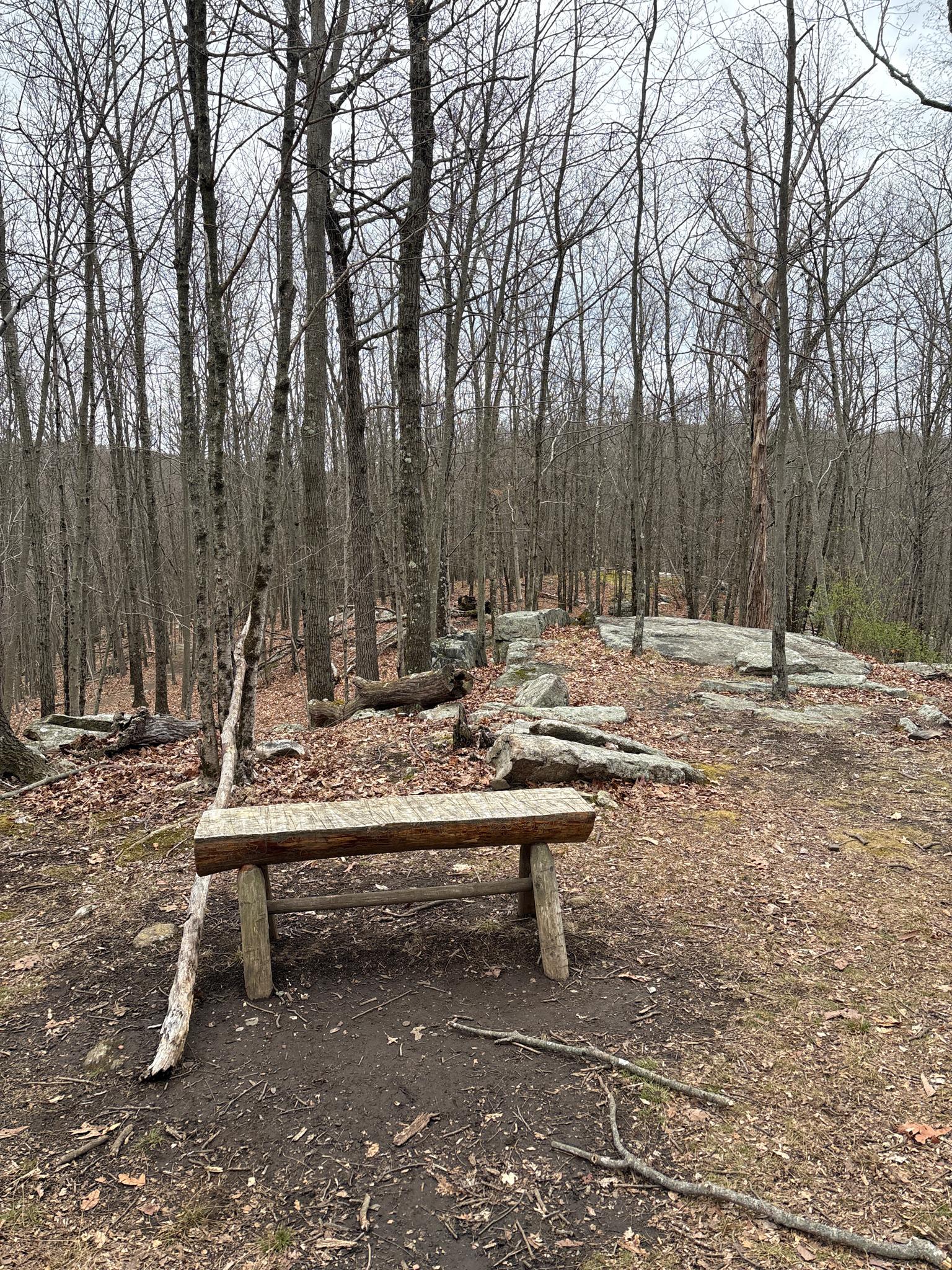A rustic wooden bench in a clearing surrounded by bare trees and rocks.