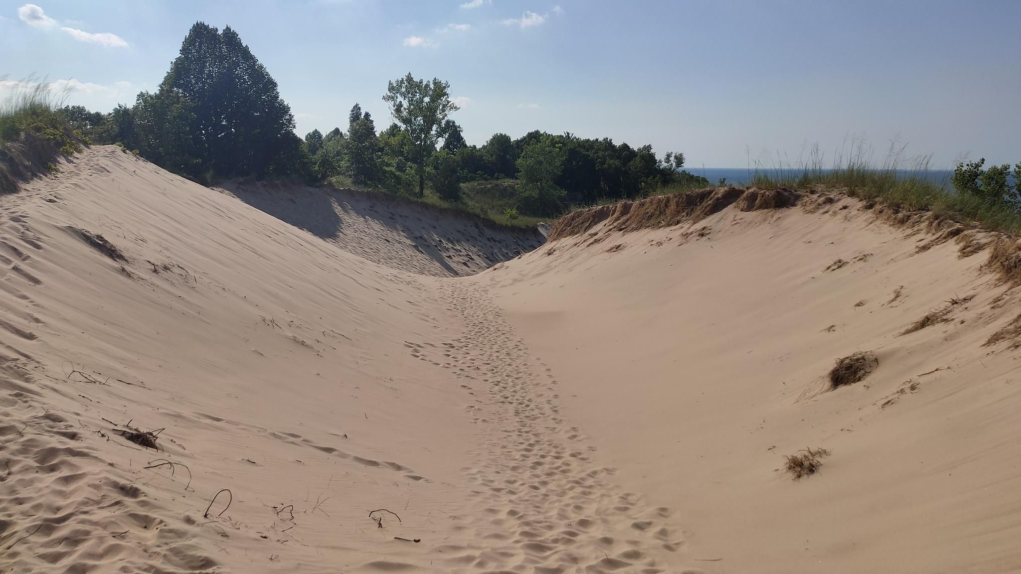 Footprints lead down a sandy dune valley towards distant water and trees. - Indiana Dunes Trail 9 and 10 Loop