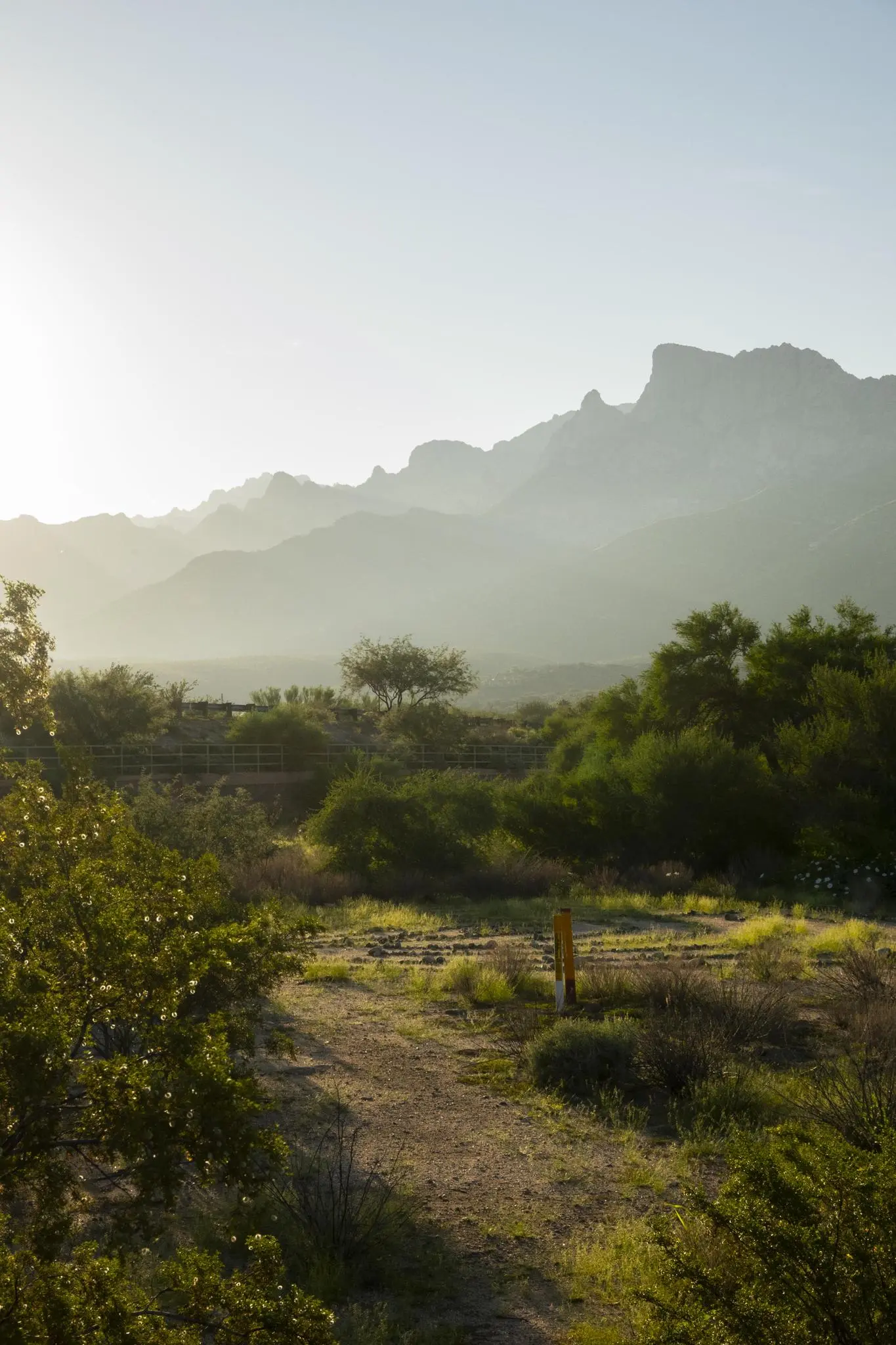 Hazy morning light illuminates a desert trail with green bushes and mountains.