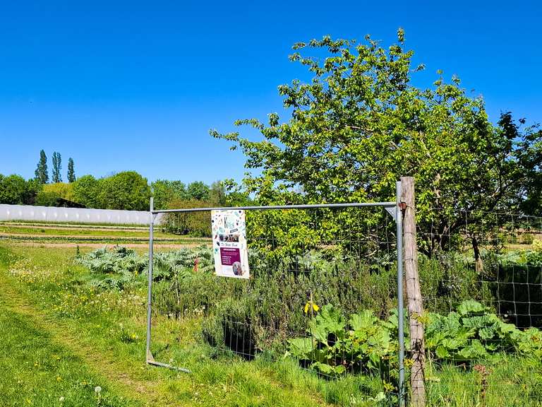De Witte Beek – Hiking & Cycling Routes | Komoot