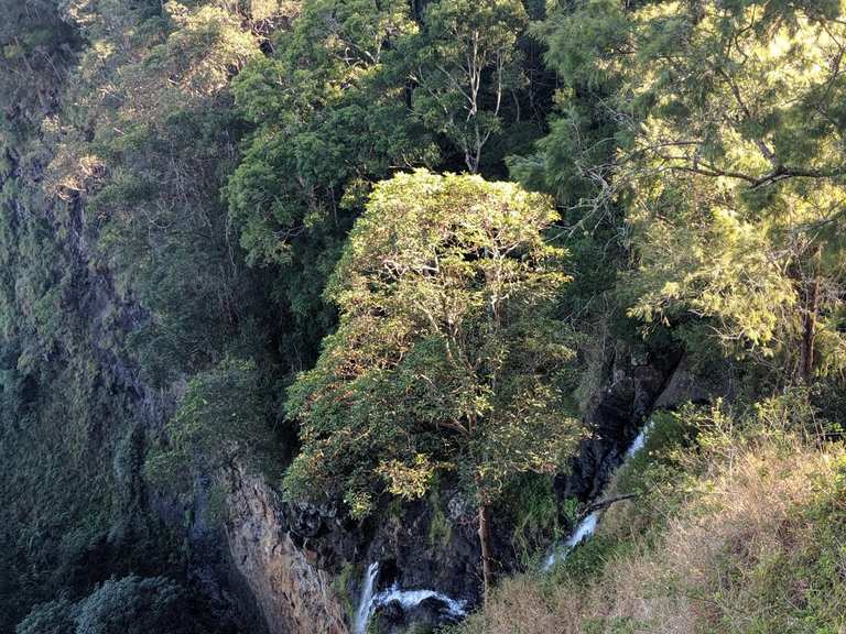 Chutes de Mapleton – Randonnées & Comment s'y rendre | Komoot