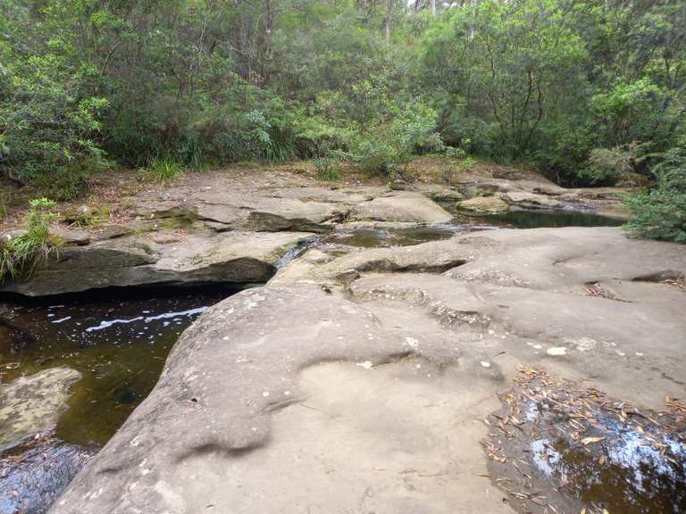 Chutes de Darling Mills – Itinéraires & Comment s'y rendre | Komoot