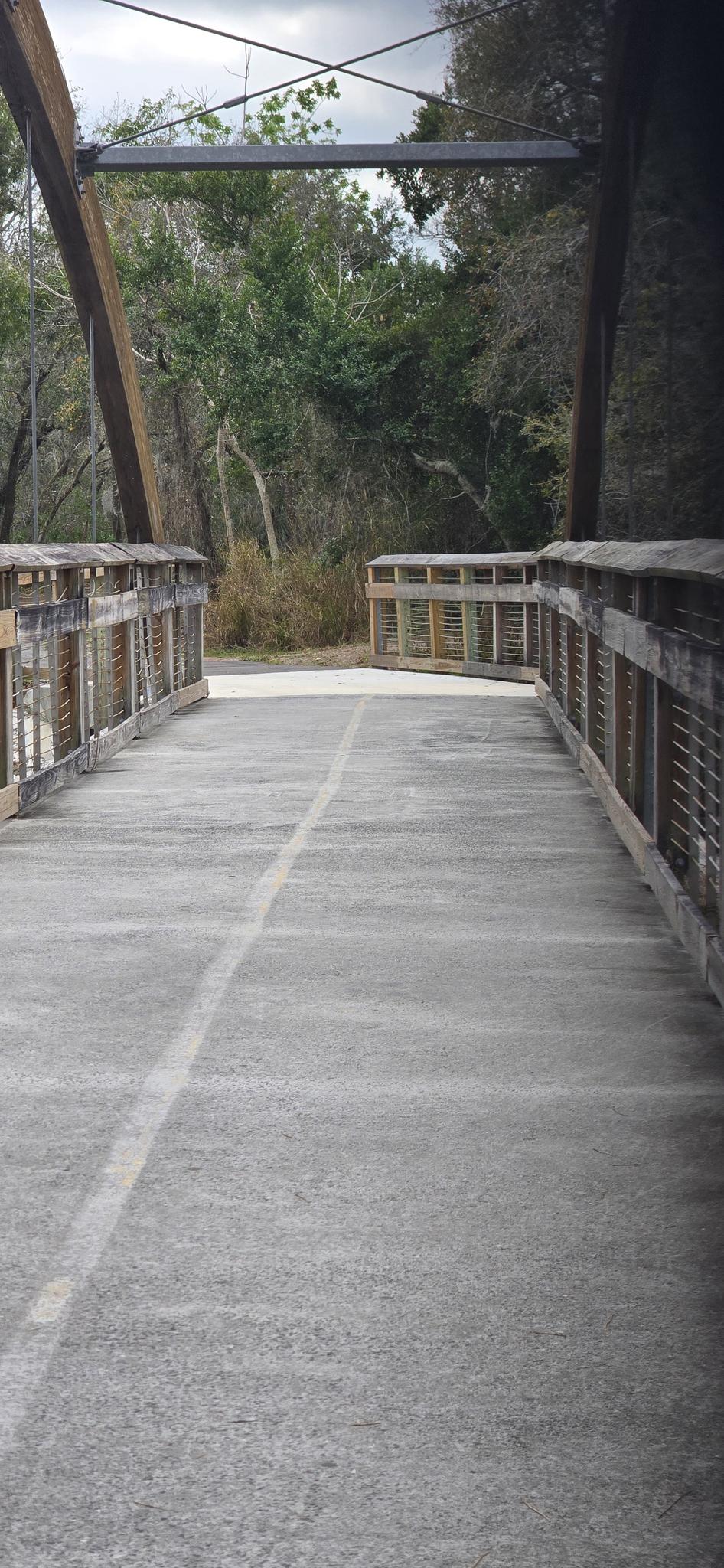 Elevated walkway with wooden railings leading into a wooded area on an overcast day.