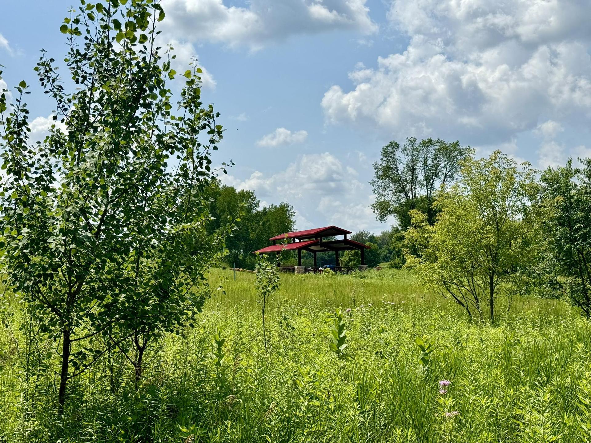Red-roofed shelter visible through tall green grass and trees on a sunny day.