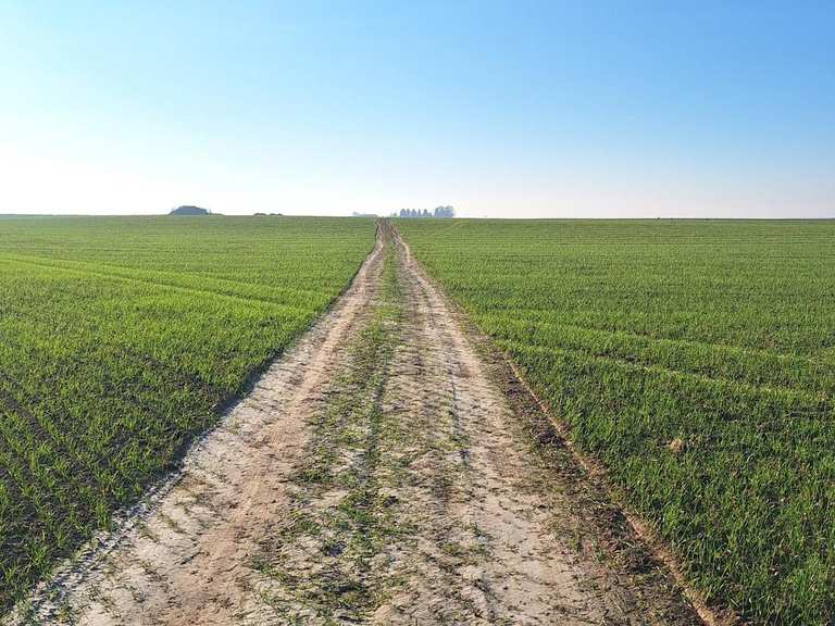 Beautiful Field Path - Routes for Walking and Hiking | Komoot