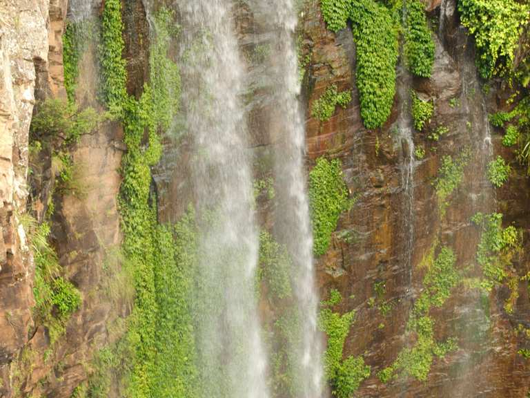 Chutes de Queen Mary – Itinéraires & Comment s'y rendre | Komoot