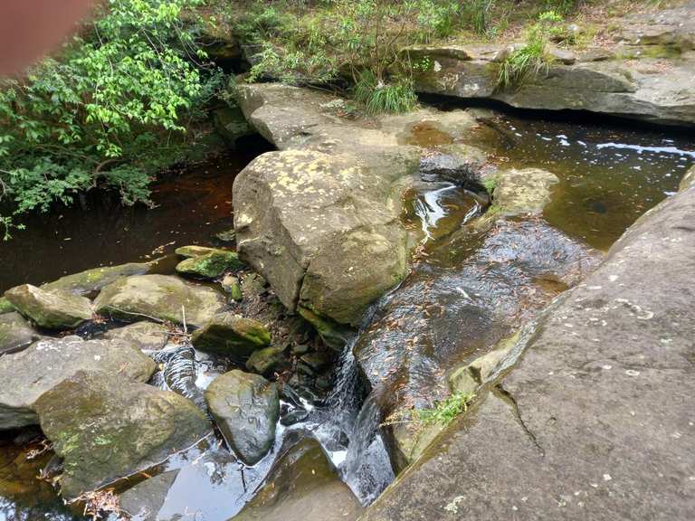 Chutes de Darling Mills – Itinéraires & Comment s'y rendre | Komoot